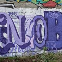 Snobe