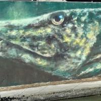 Sandrot