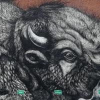 Roa