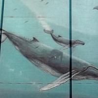 Wyland