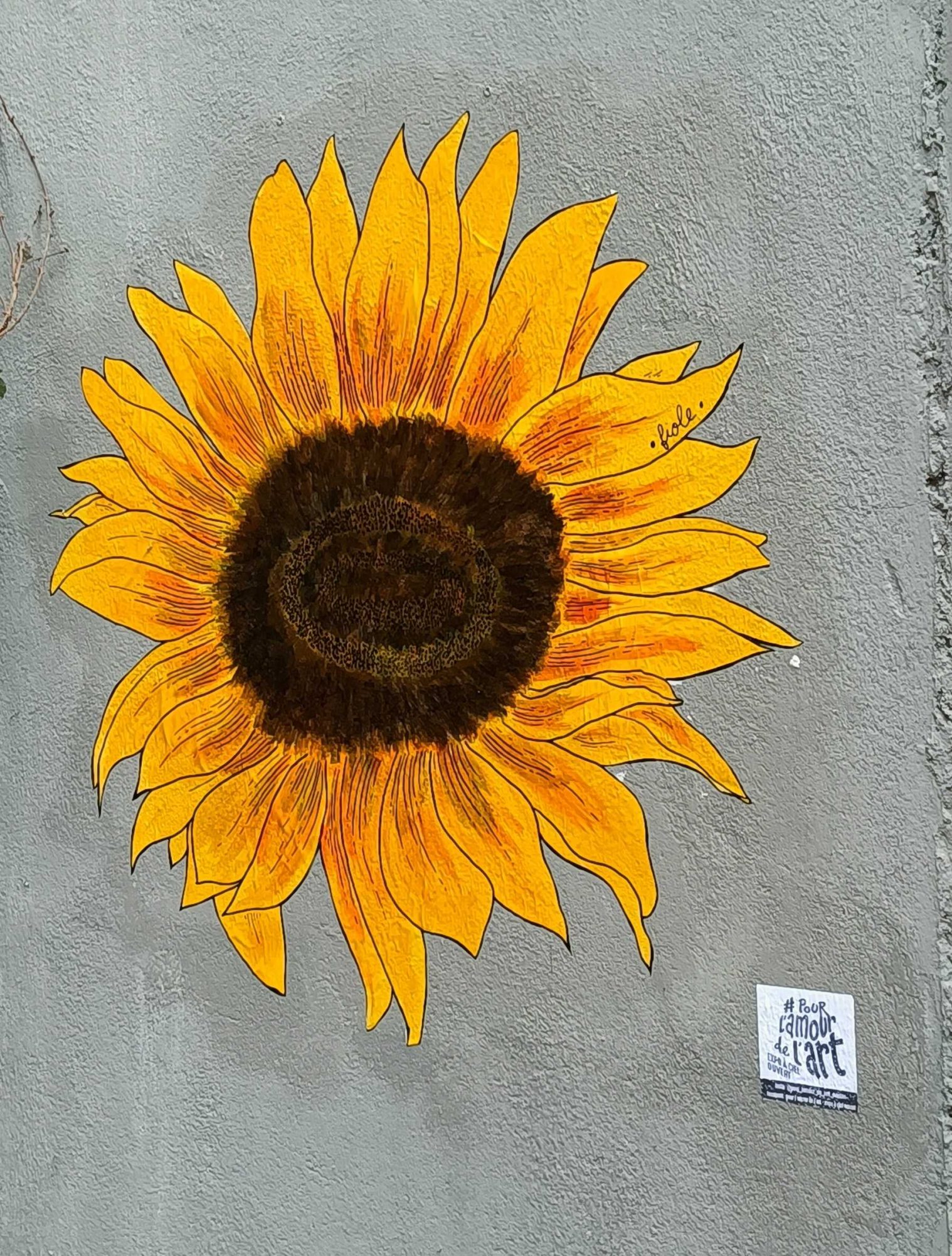 Luminous Sunflower on Grey Wall — Street art in Nantes