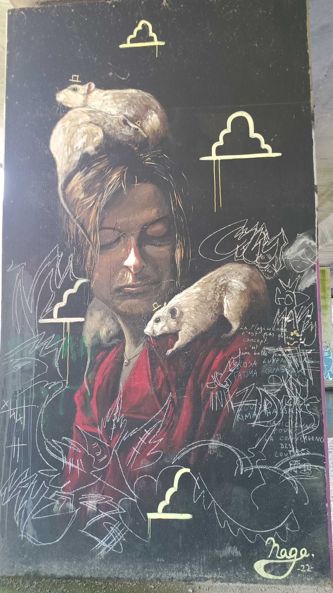The Woman with Rats, by Naga — Street art by Naga in Nantes