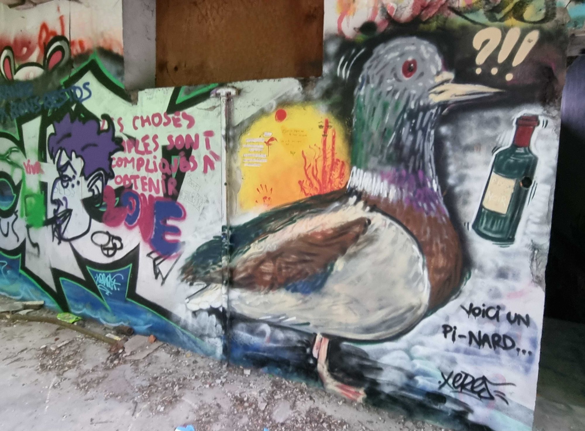 Voici un pi-nard — Street art in Grenoble