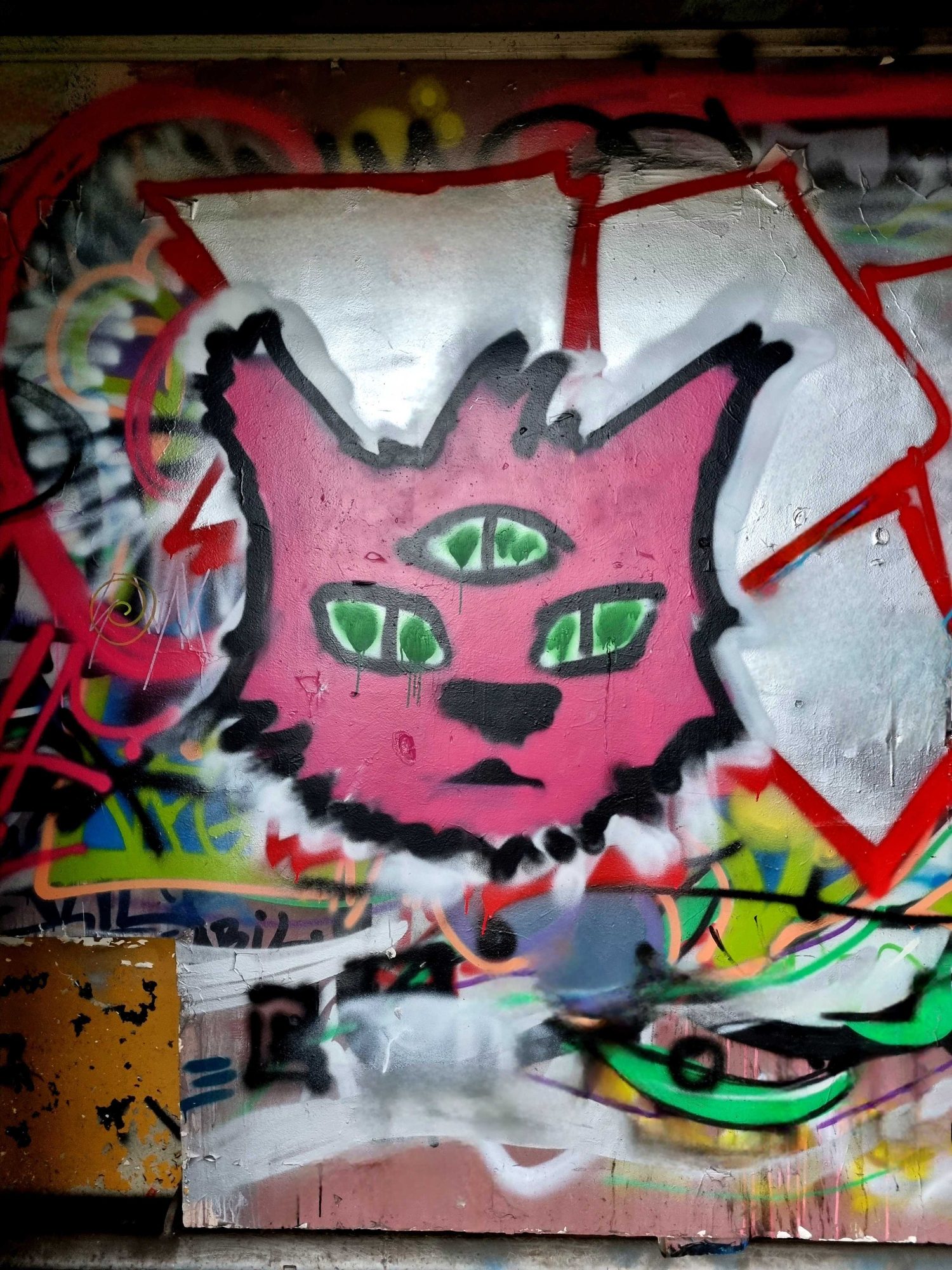 Pink Cat with Four Eyes — Street art in Grenoble