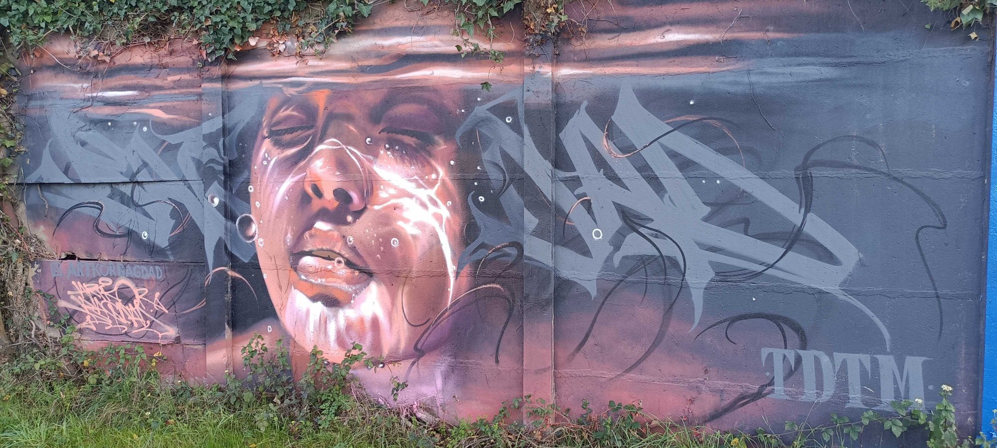 Portrait rose expressif — Street art à Rennes