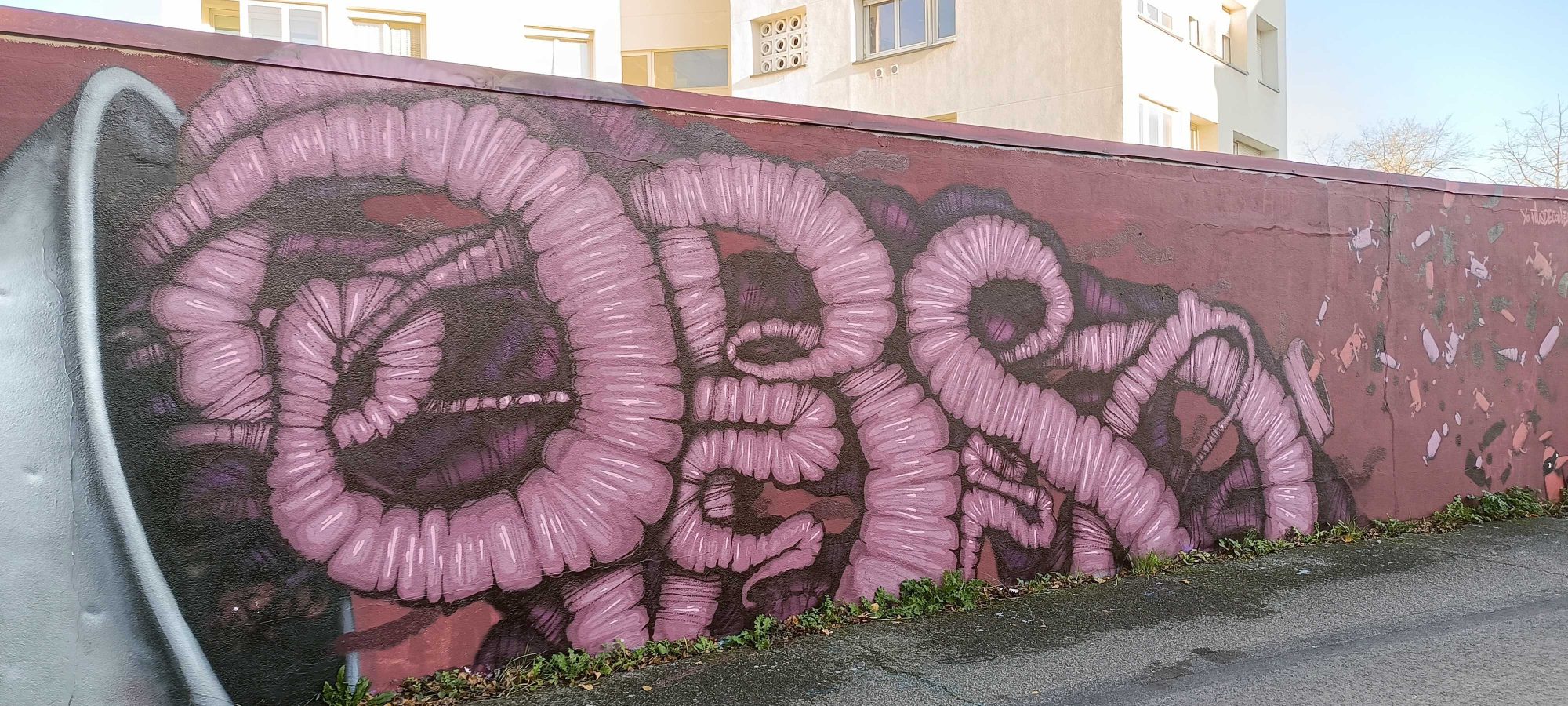 Organic Pink Lettering — Street art in Nantes