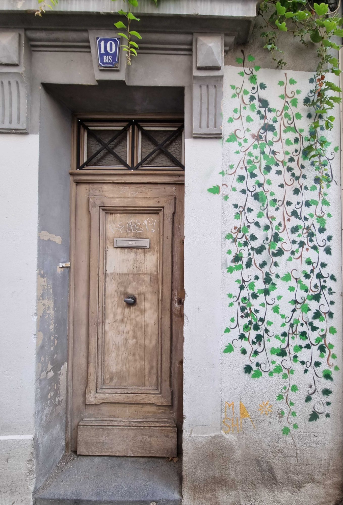 Lierre grimpant sur la façade — Street art à Clermont-Ferrand