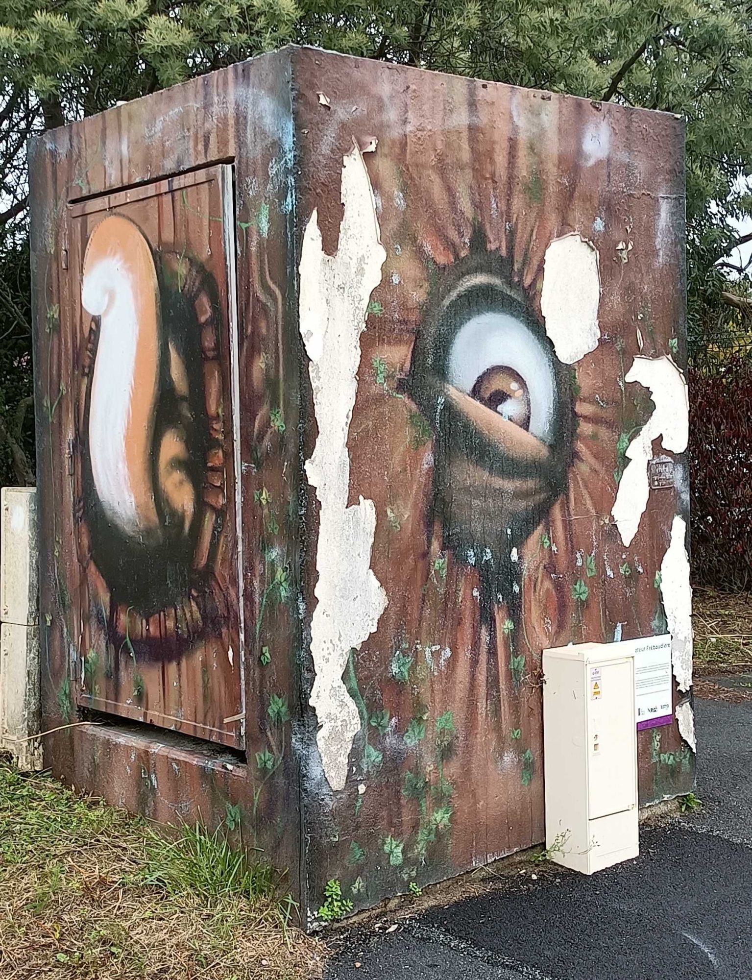 The Eye and the Shell on the Rusted Box — Street art in Orvault