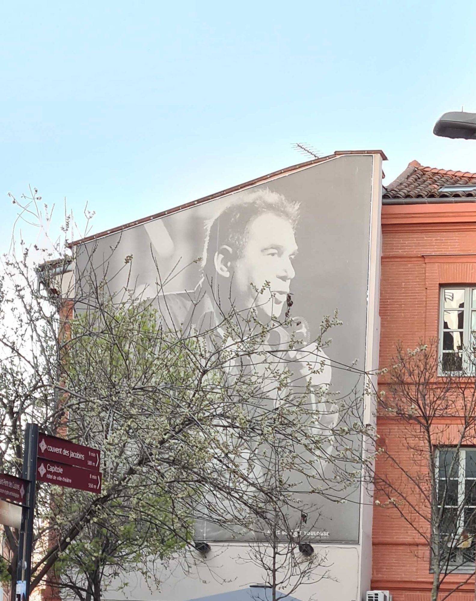 Portrait photographique géant — Street art à Toulouse