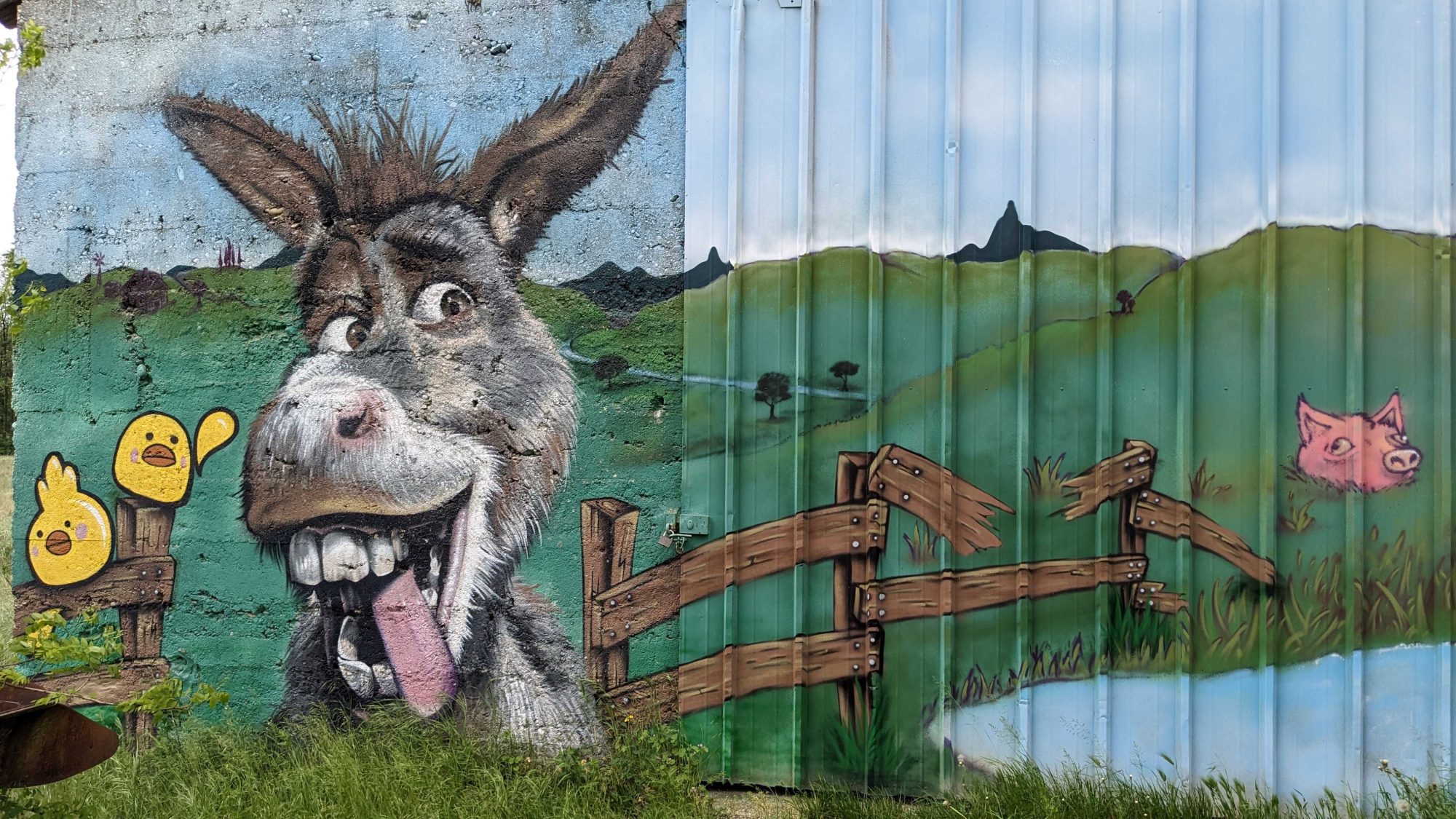 Âne souriant — Street art de Sorry Graffiti à Soyons