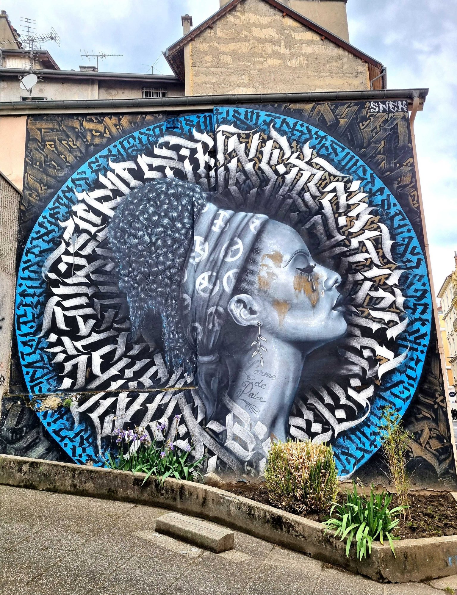 Calligraphic Medallion Profile — Street art by Snek in Grenoble