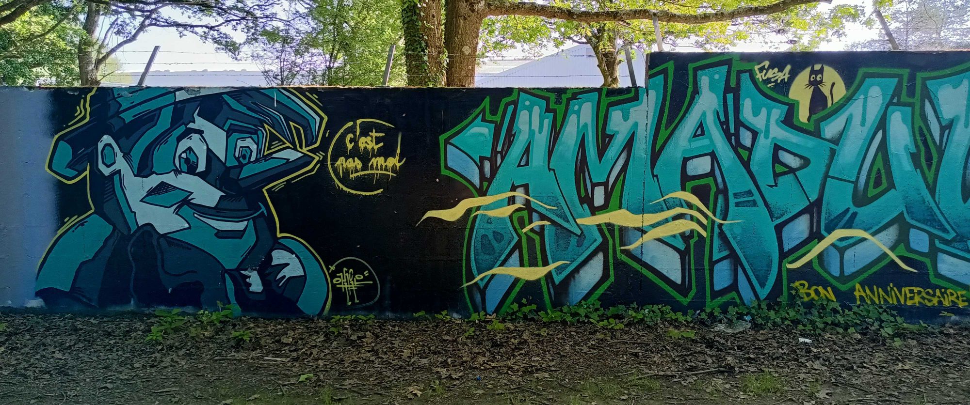 It Wasn't Me — Street art in Nantes