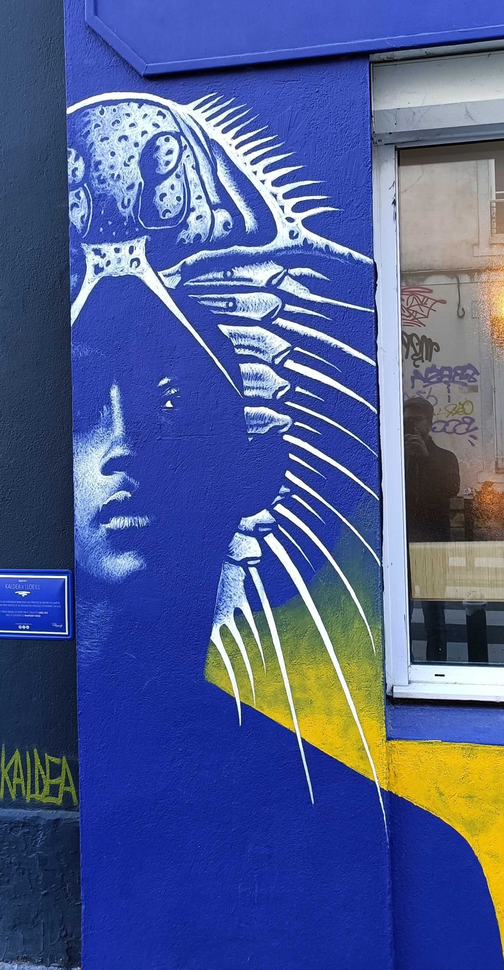 Beetle Diadem Portrait Close-Up, by Seb Bouchard — Street art by Seb Bouchard in Nantes
