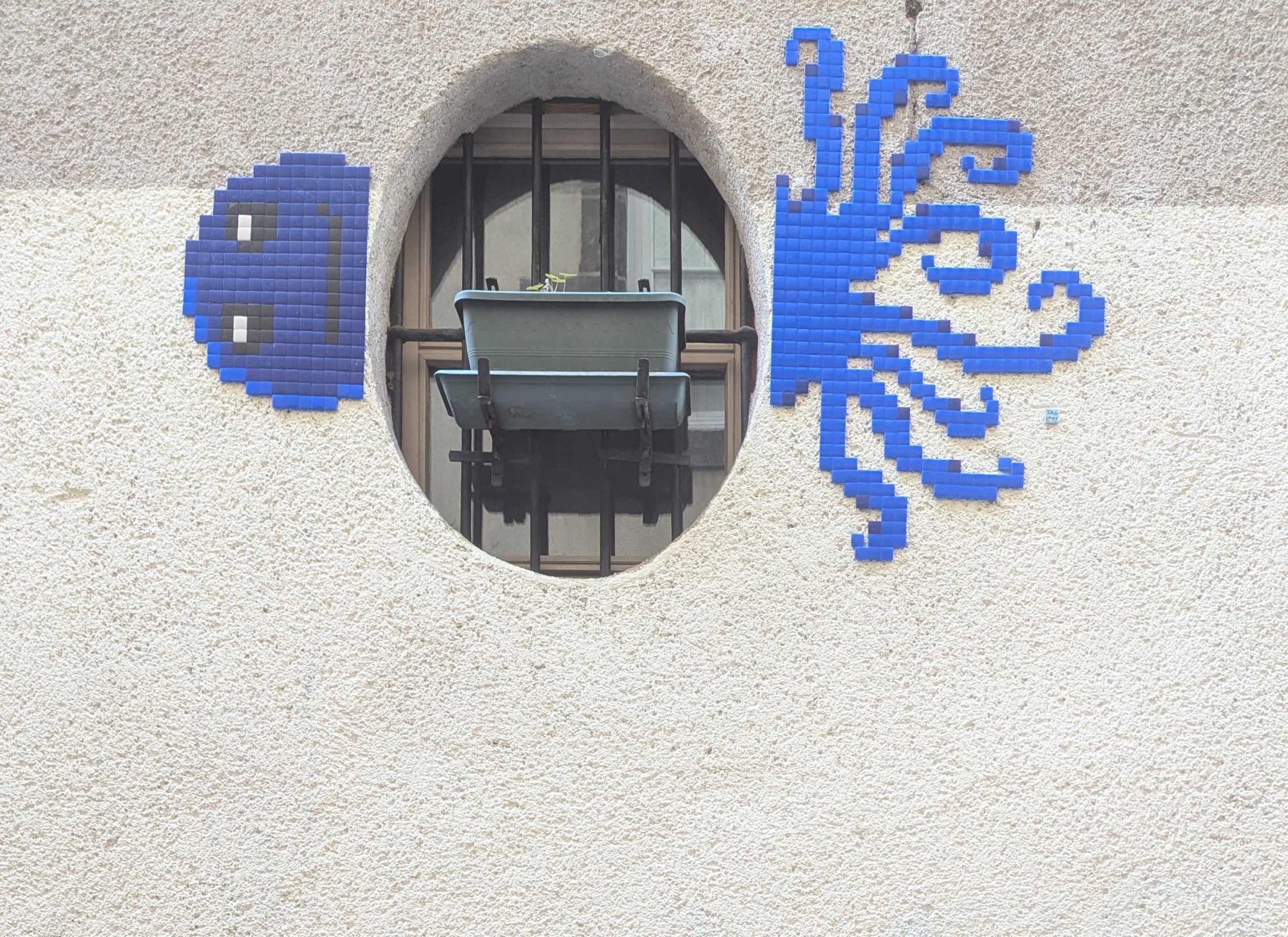 Poulpe bleu en mosaïque autour d'une fenêtre — Street art de Tag Lady à Clermont-Ferrand