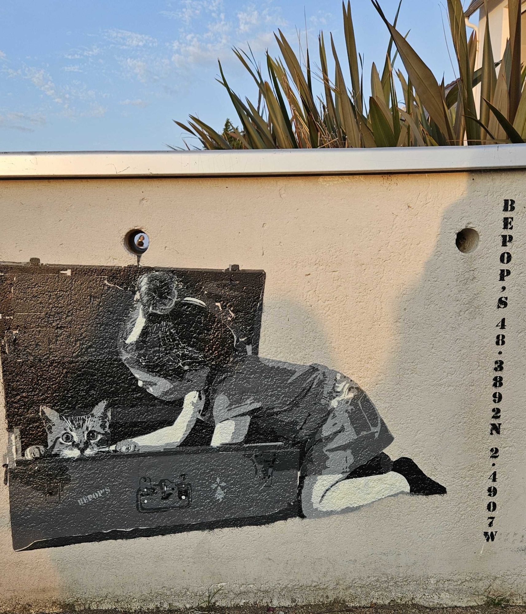 The Cat in the Suitcase — Street art in Saint-Quay-Portrieux