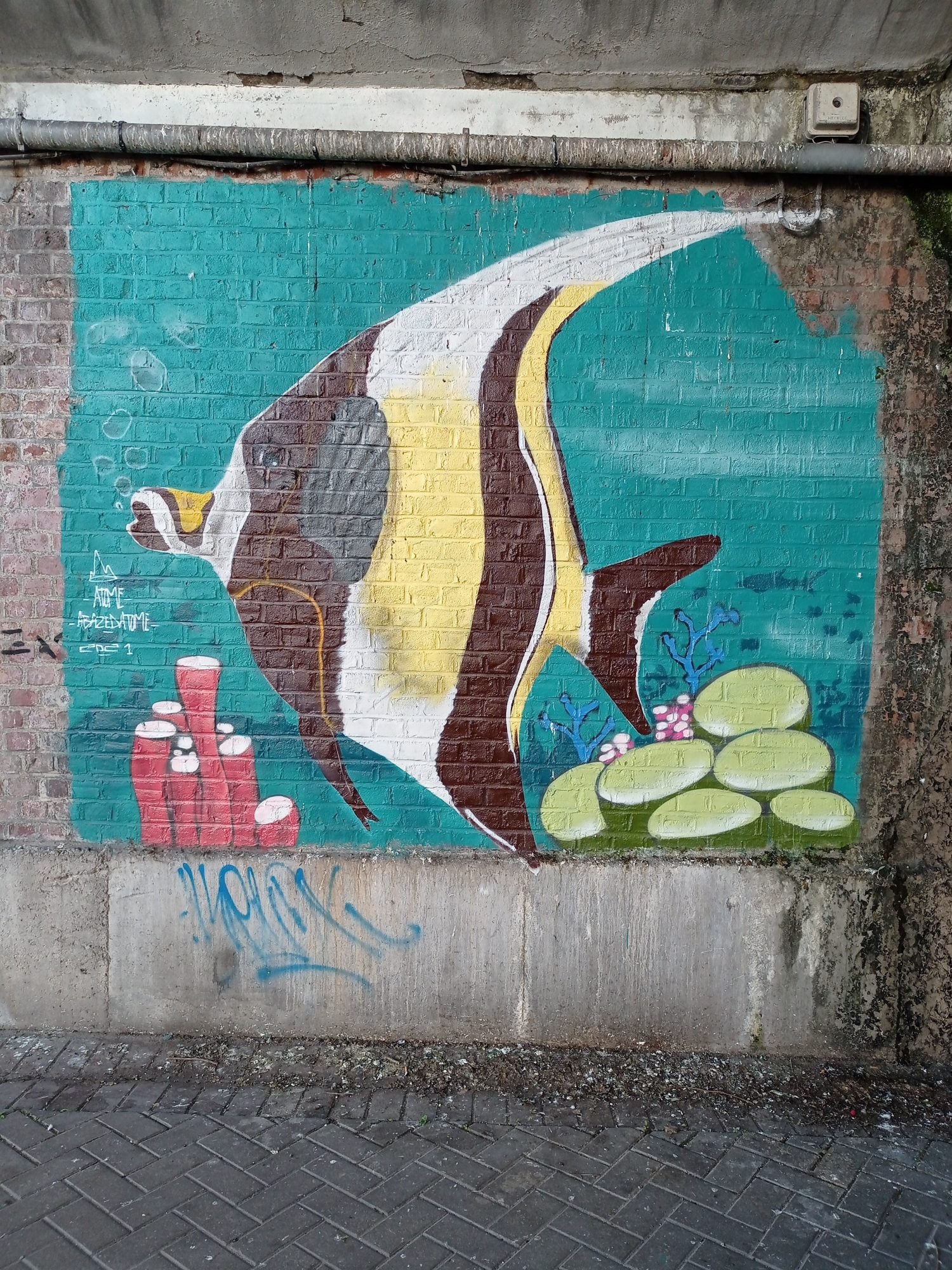 Poisson-cocher rayé — Street art à Lille