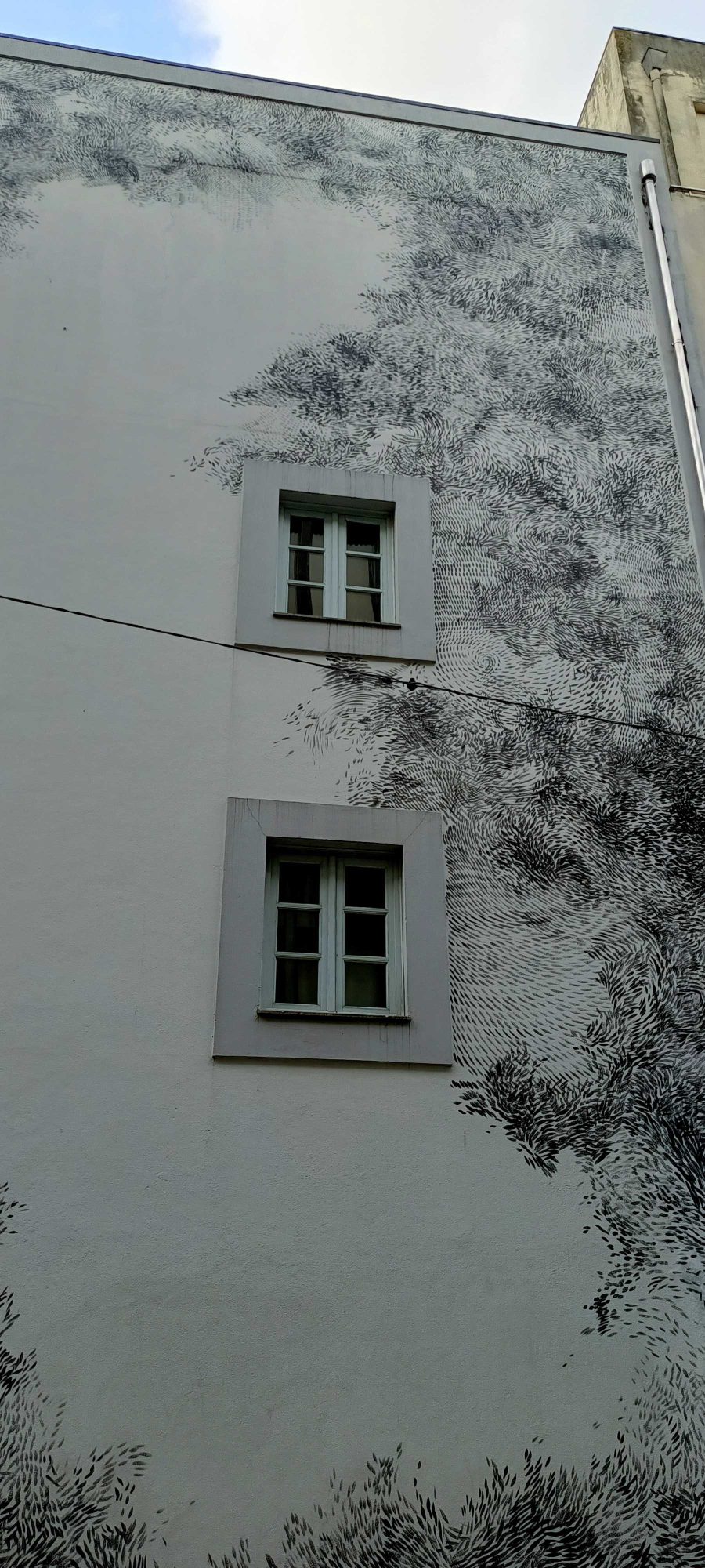 Végétation en encre sur façade — Street art à Porto