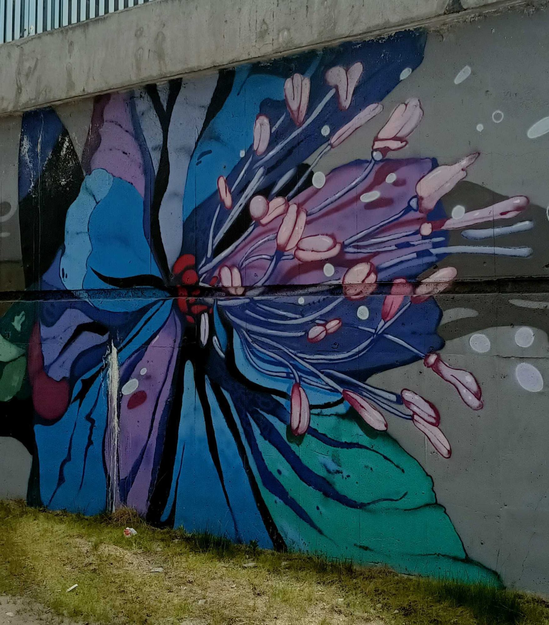 Fleur bleue en gros plan — Street art à Prague