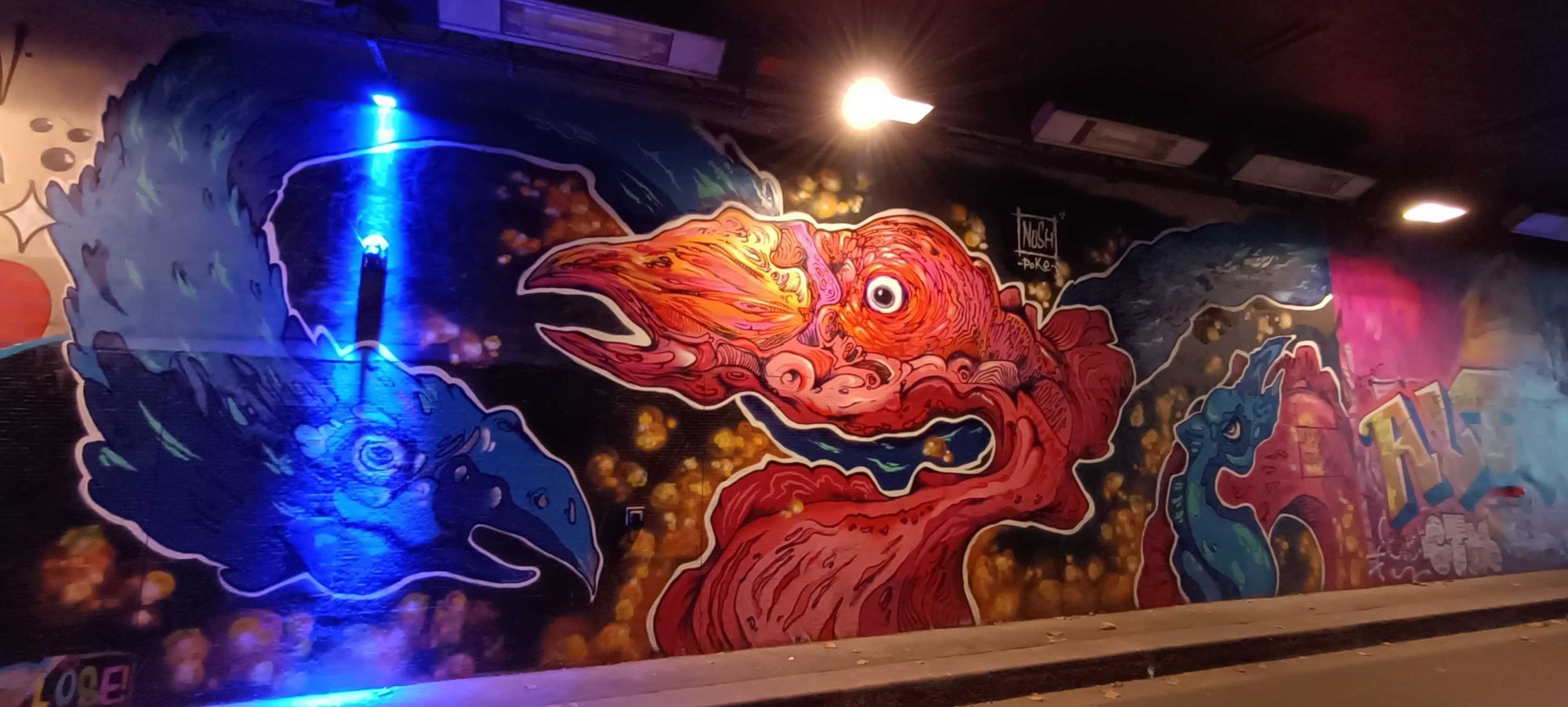 Fantastic Rooster in the Tunnel — Street art in Paris