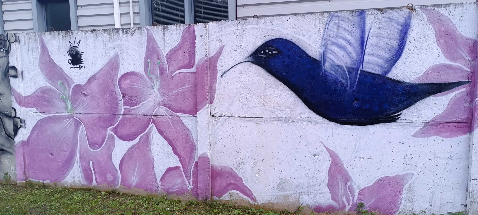 Blue Bird among Pink Flowers — Street art in Berlin