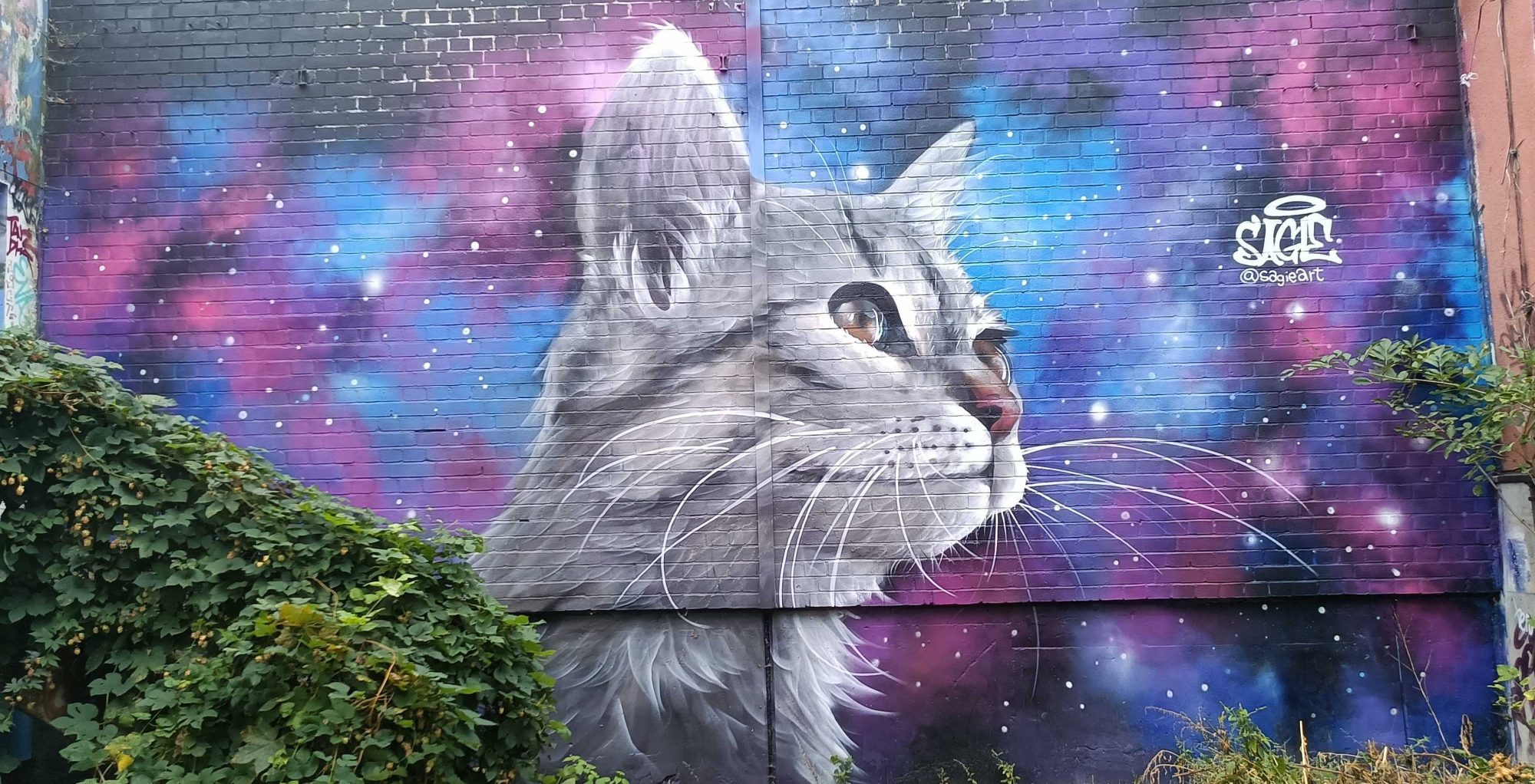 Hyperrealistic Cosmic Cat, Berlin — Street art by Sagie in Berlin