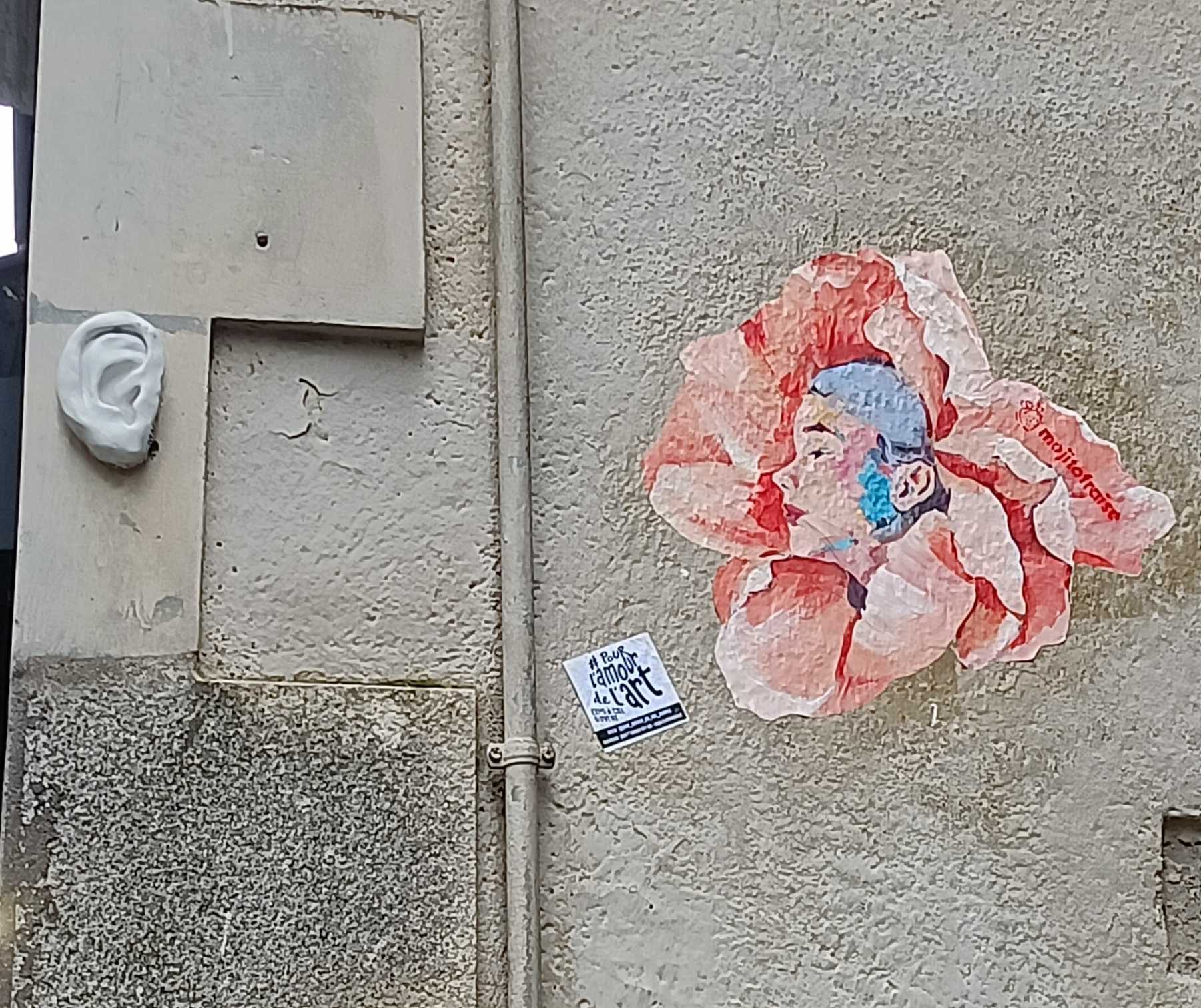 Face-Flower and Relief Ear — Street art in Nantes