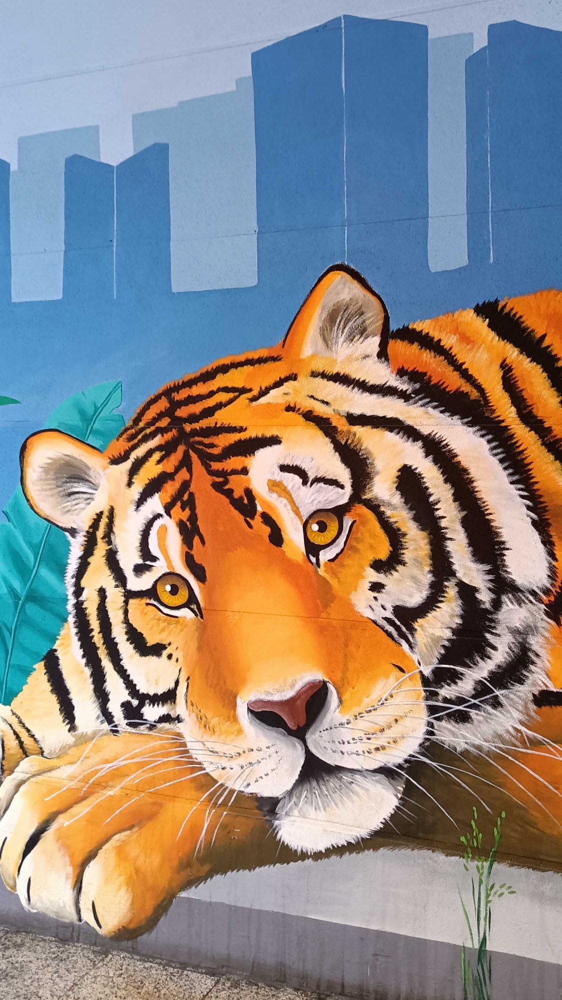 Resting Tiger, Intense Gaze — Street art in Paris