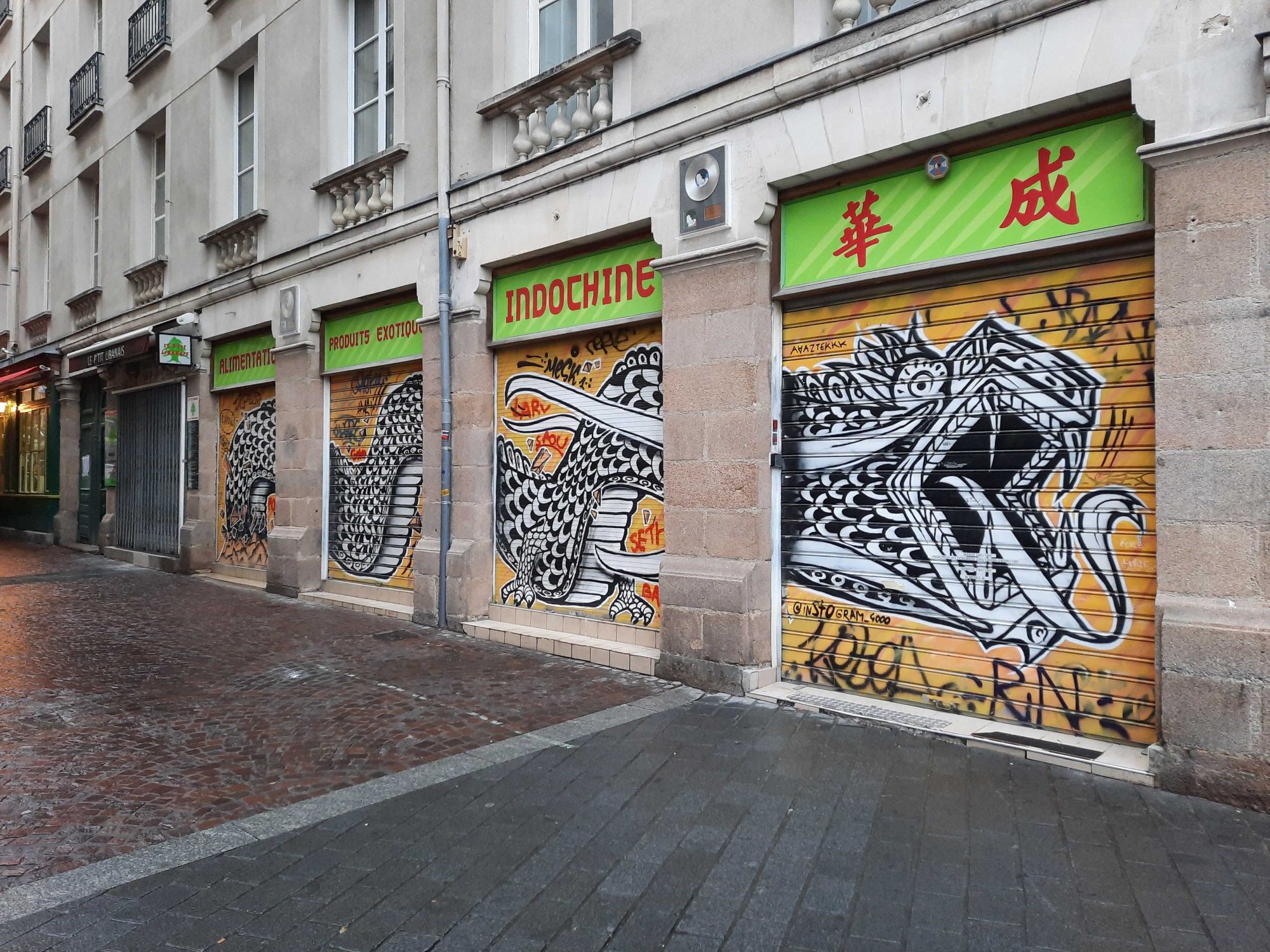 Dragons on Indochine Shop Shutters — Street art in Nantes