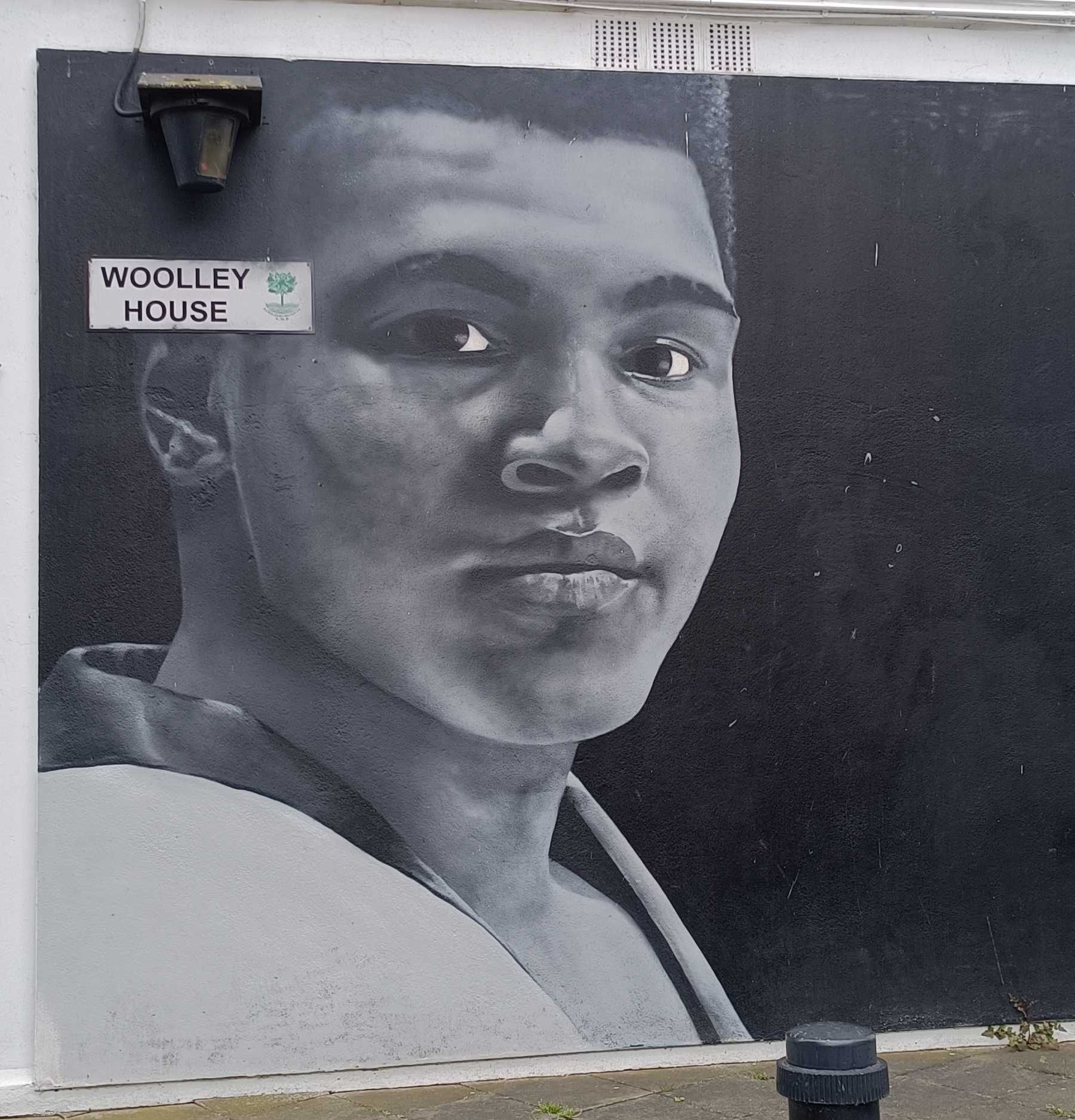 Portrait Woolley House — Street art à London