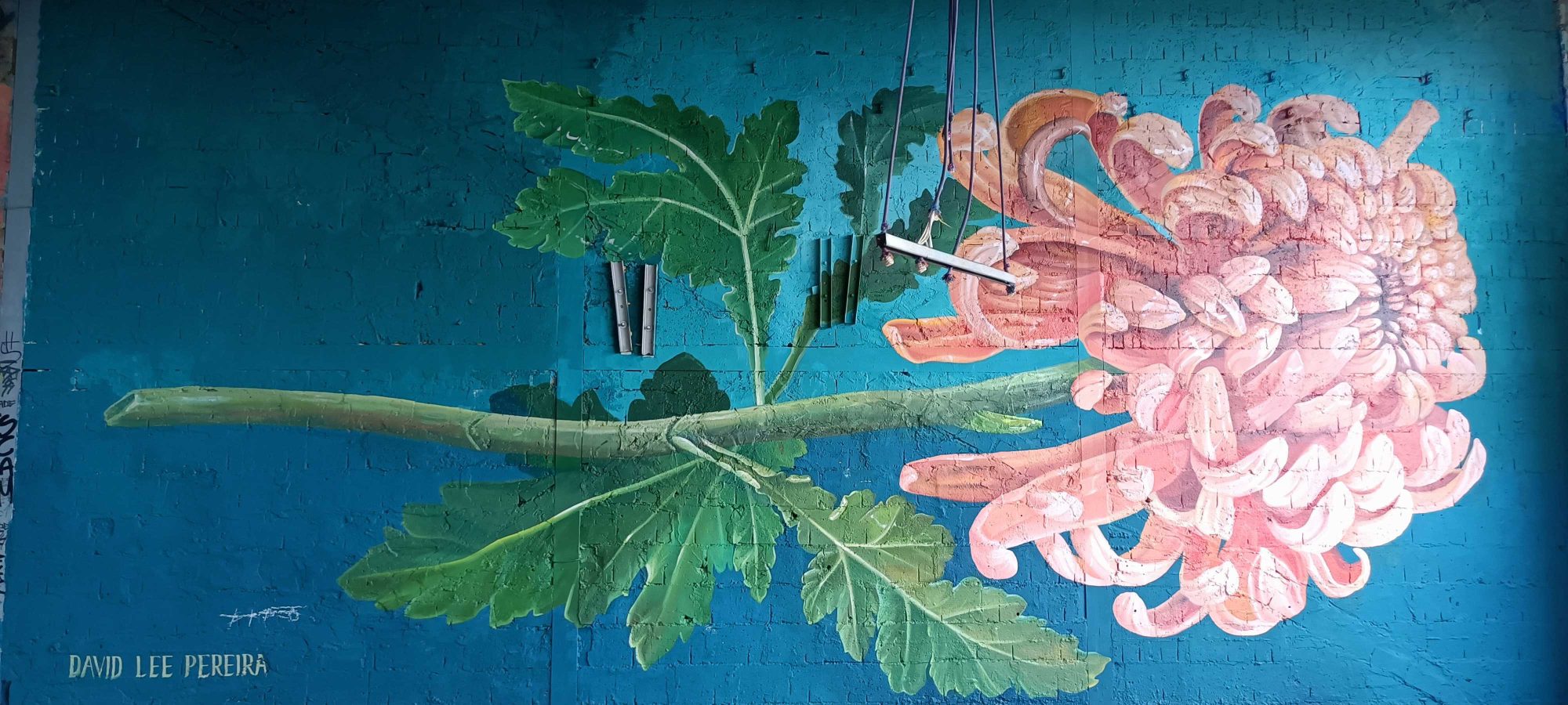 Large Pink Chrysanthemum by David Lee Pereira — Street art by David Lee Pereira in Berlin
