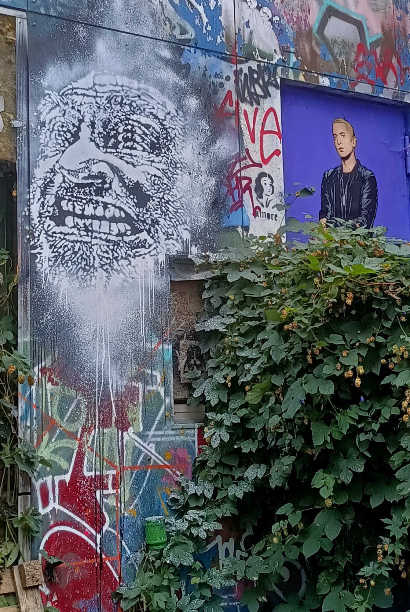 Eminem Portrait and Troll Face, Berlin — Street art in Berlin