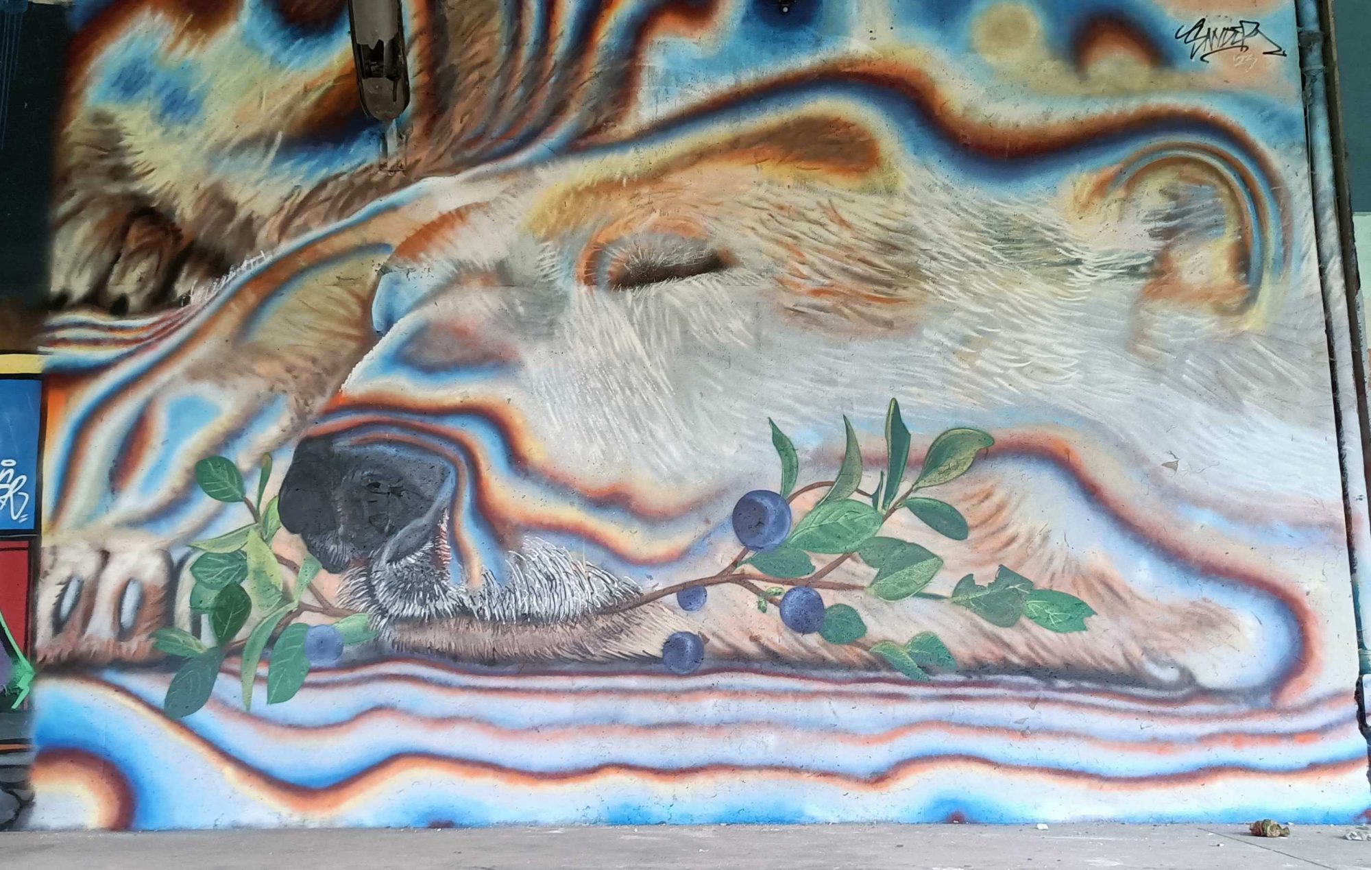 Ours polaire endormi aux myrtilles — Street art de SNYDER à Berlin
