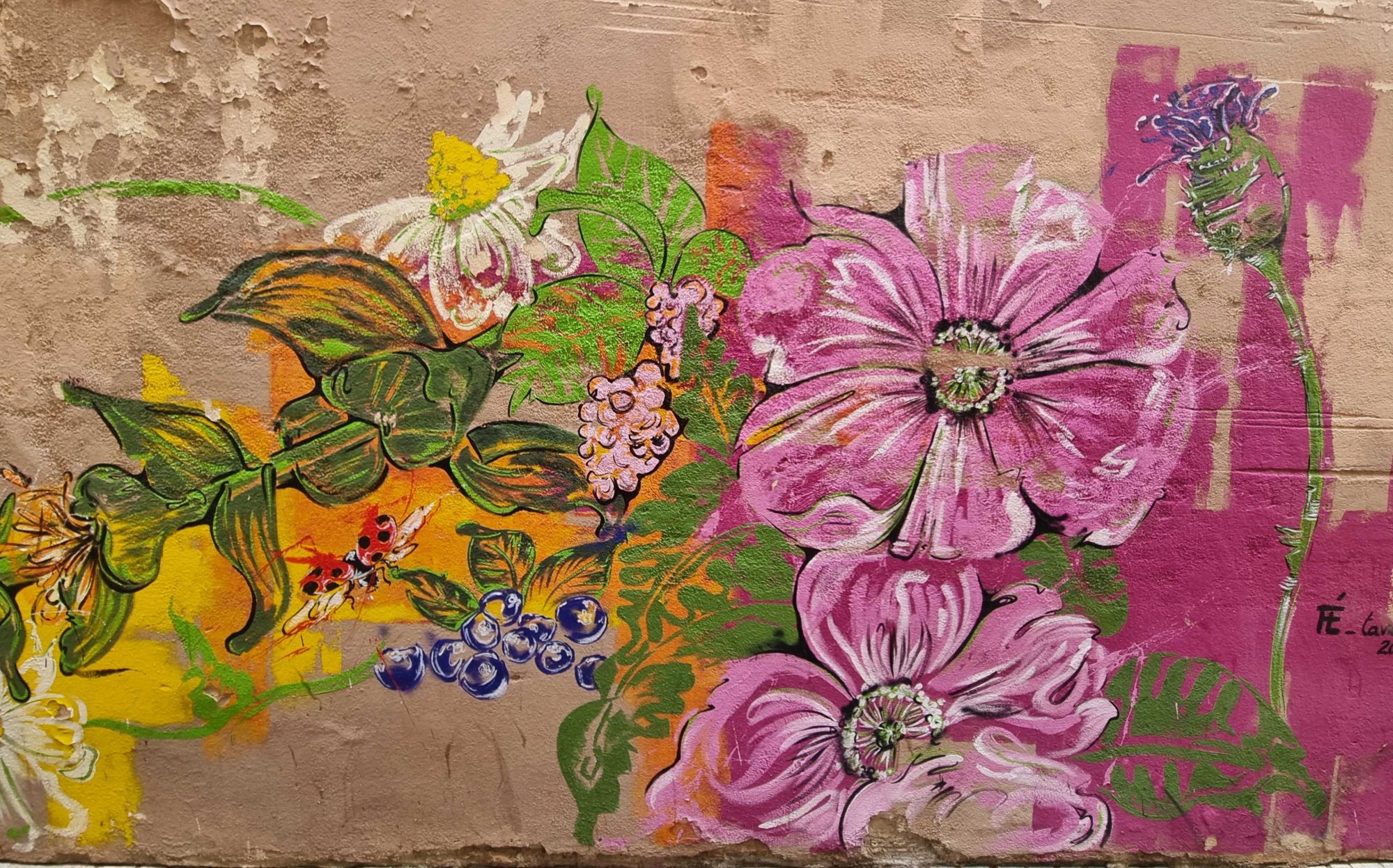 Composition florale colorée sur mur — Street art à Clermont-Ferrand