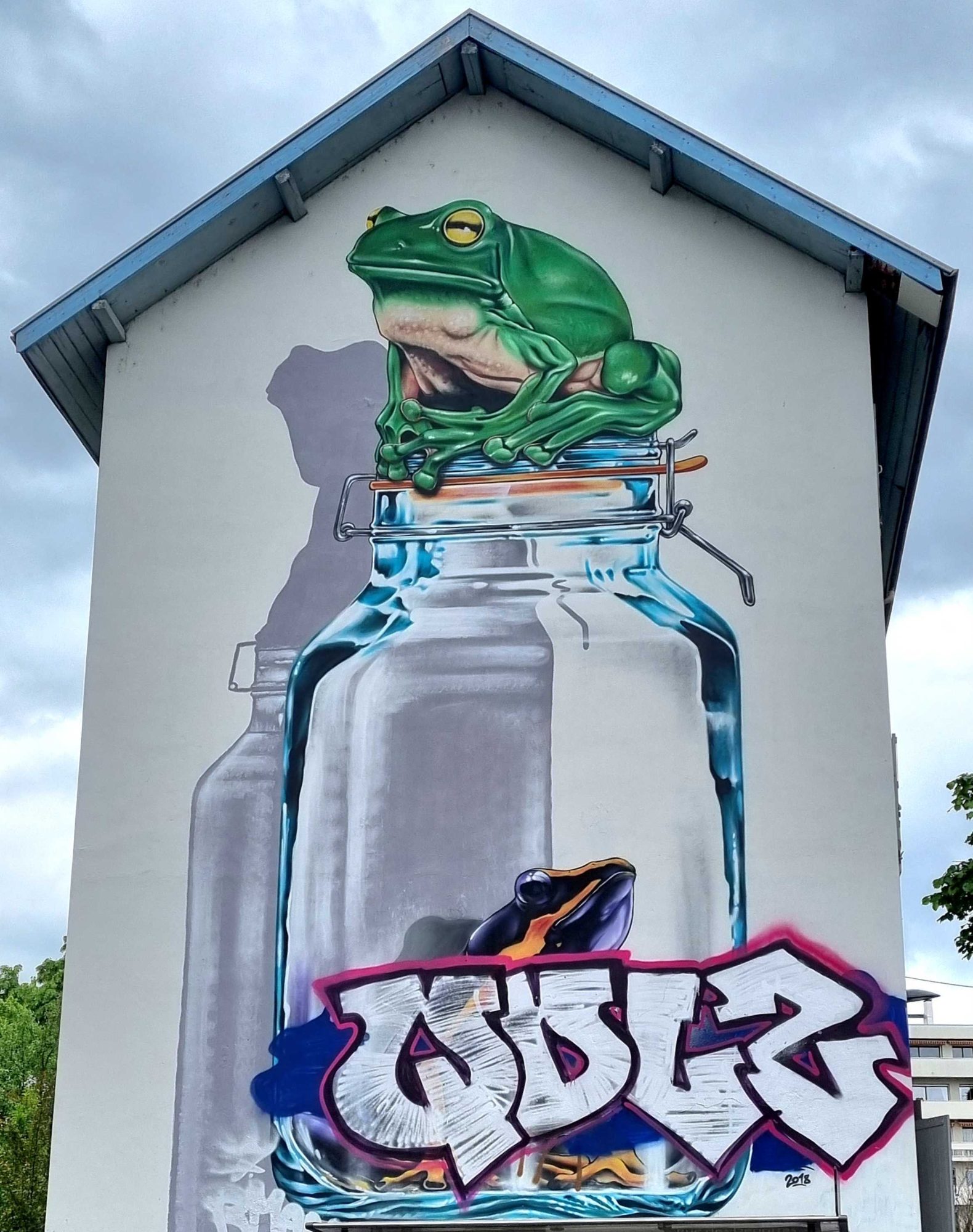 La grenouille au bocal — Street art de Etien à Grenoble