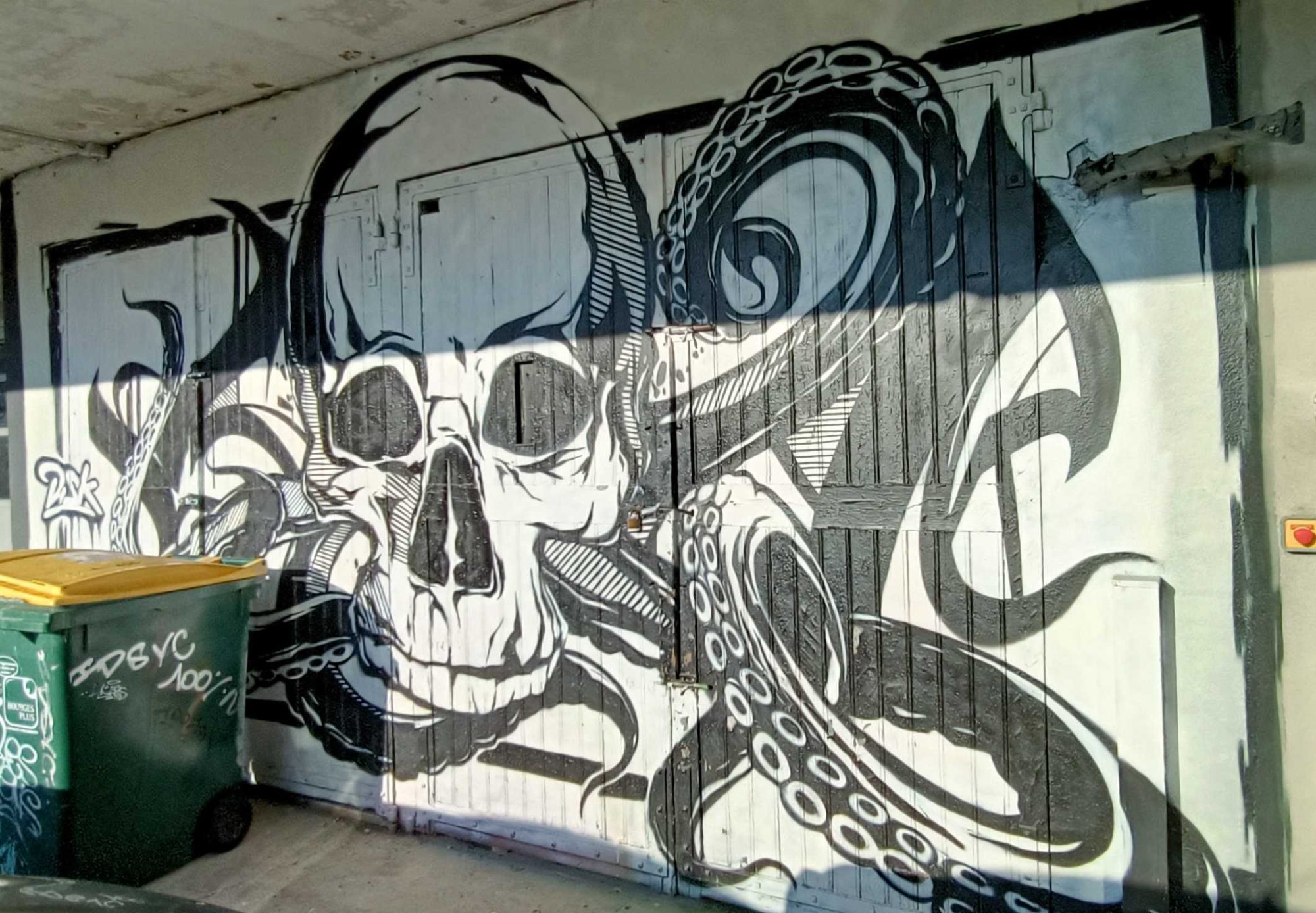 Crâne Gothique Ornemental — Street art à Bourges