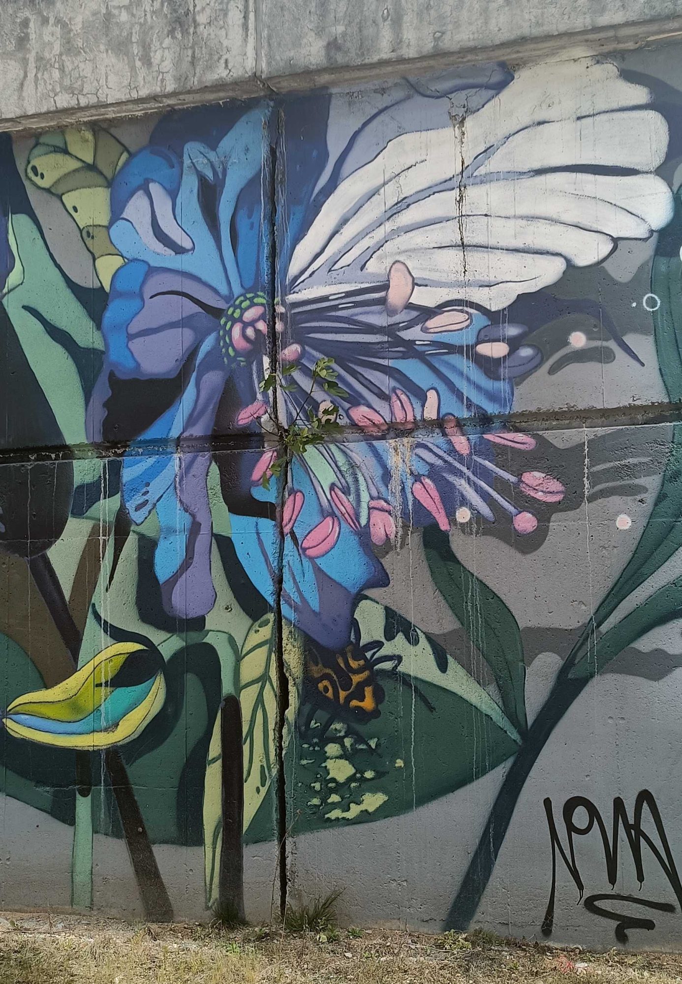 Blue Flower and Tropical Bird — Street art in Prague