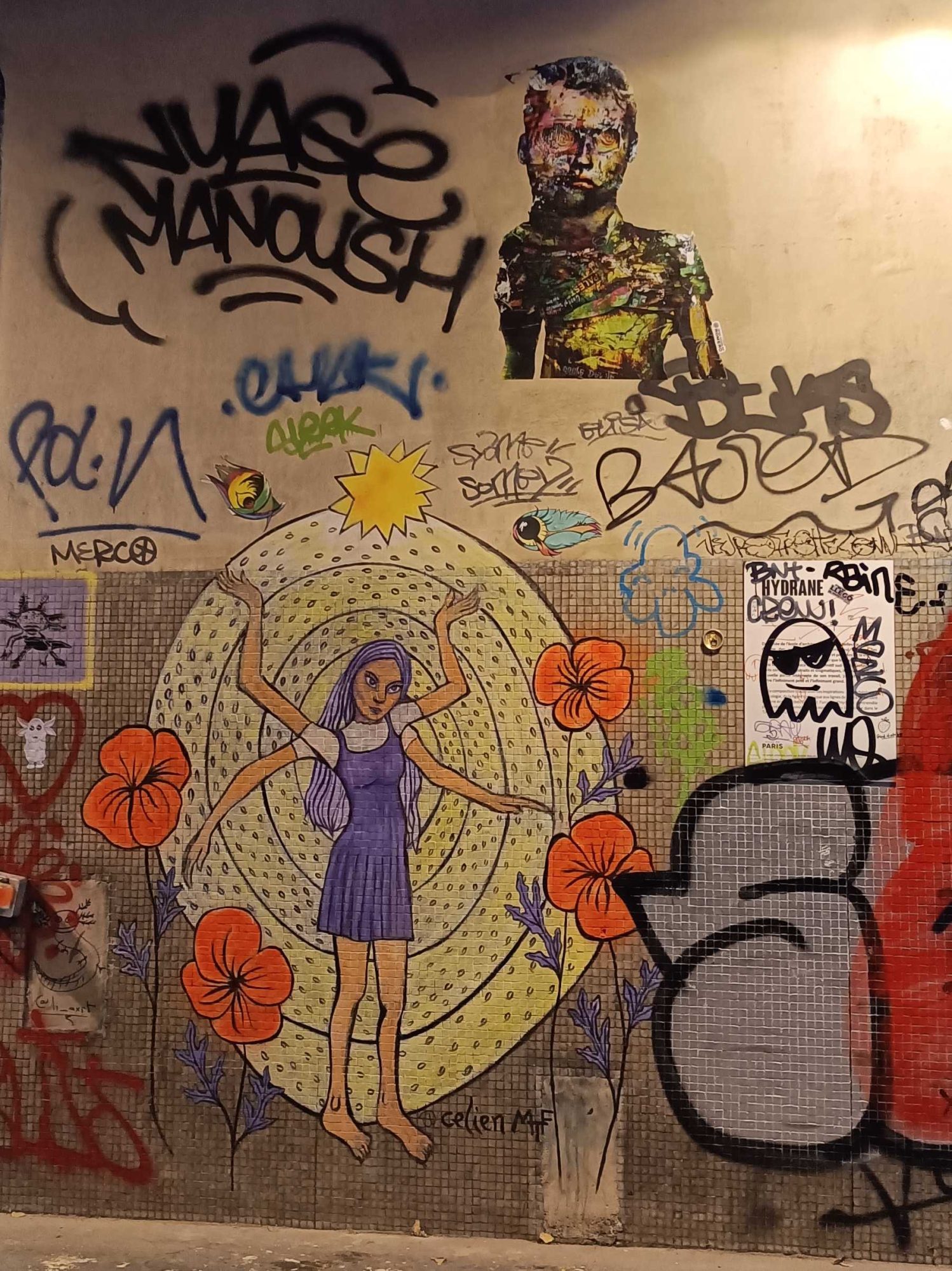 Dancer with Poppies — Street art in Paris