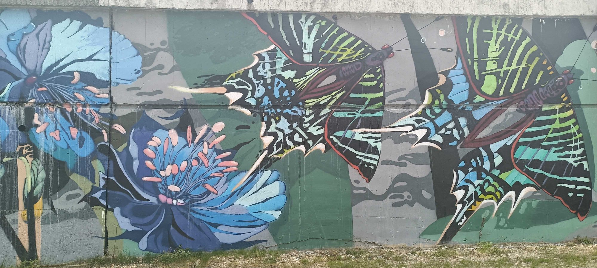 Giant Butterflies and Blue Flowers — Street art in Prague