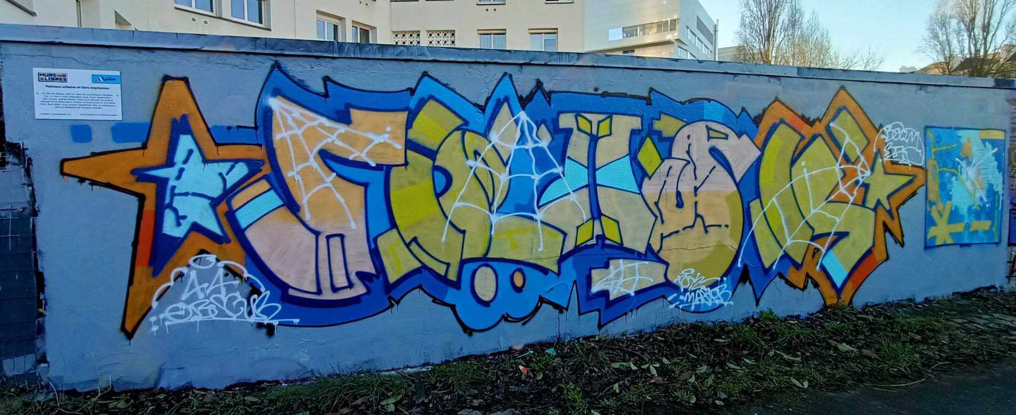 Yellow and Blue Piece with a Star — Street art in Nantes