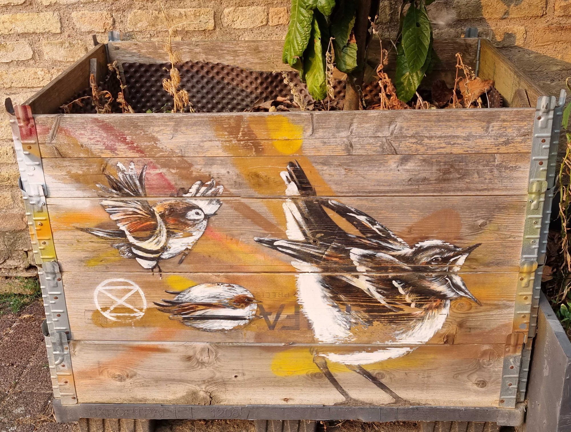 Oiseaux en vol libre — Street art de Dan23 à Strasbourg