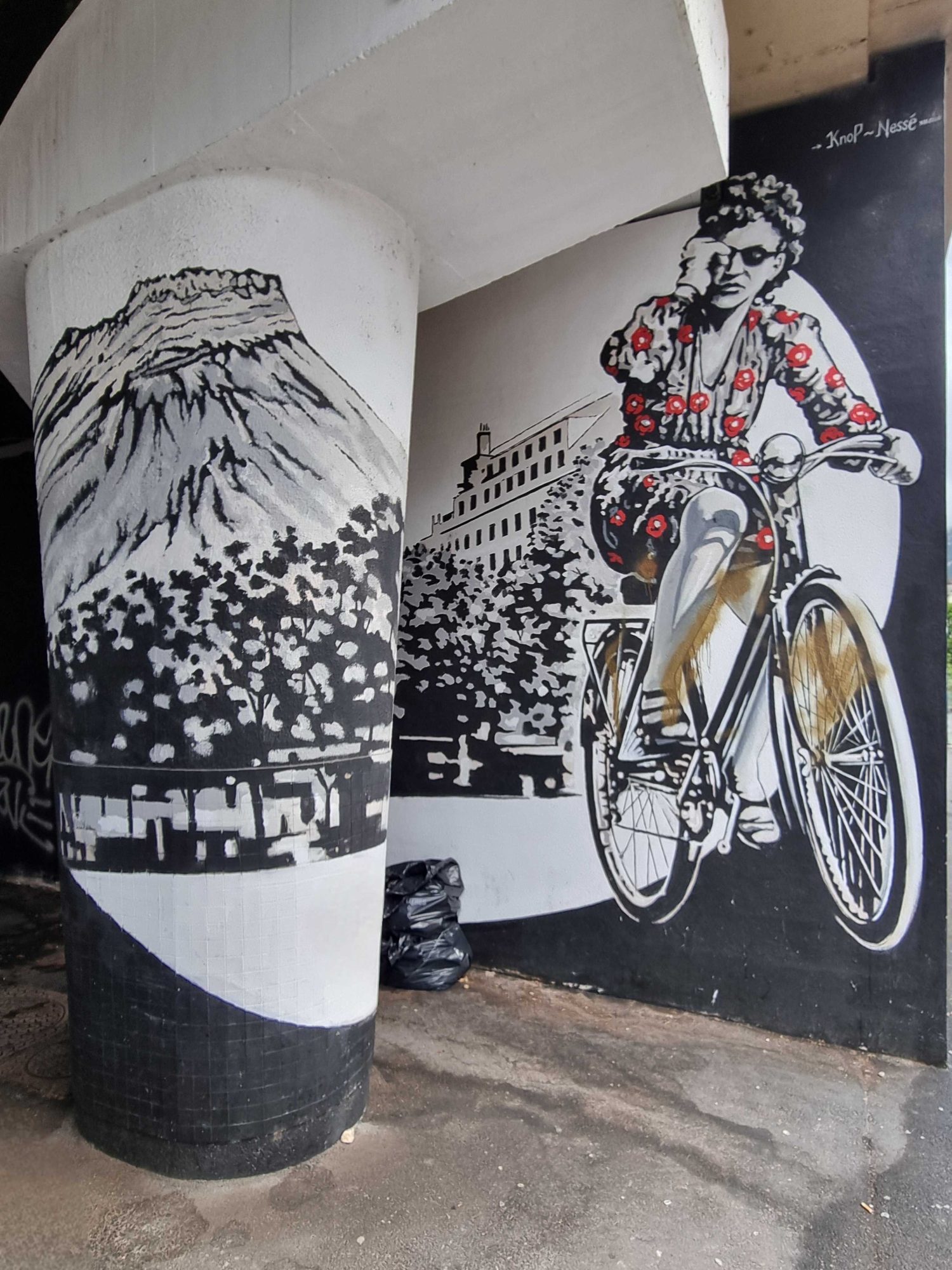 Cyclist in a Flowered Dress — Street art in Grenoble