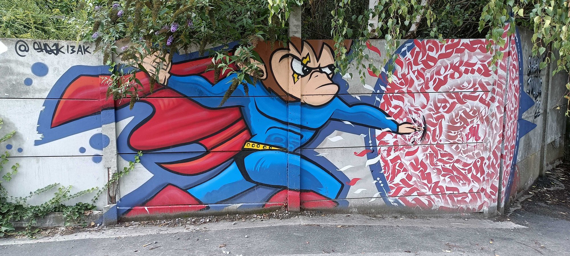 Super Monkey — Street art in Saint-André-lez-Lille