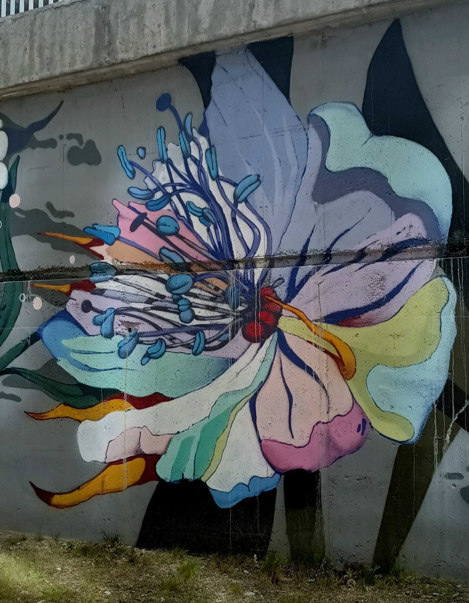 Pastel Flower with Luminous Petals — Street art in Prague