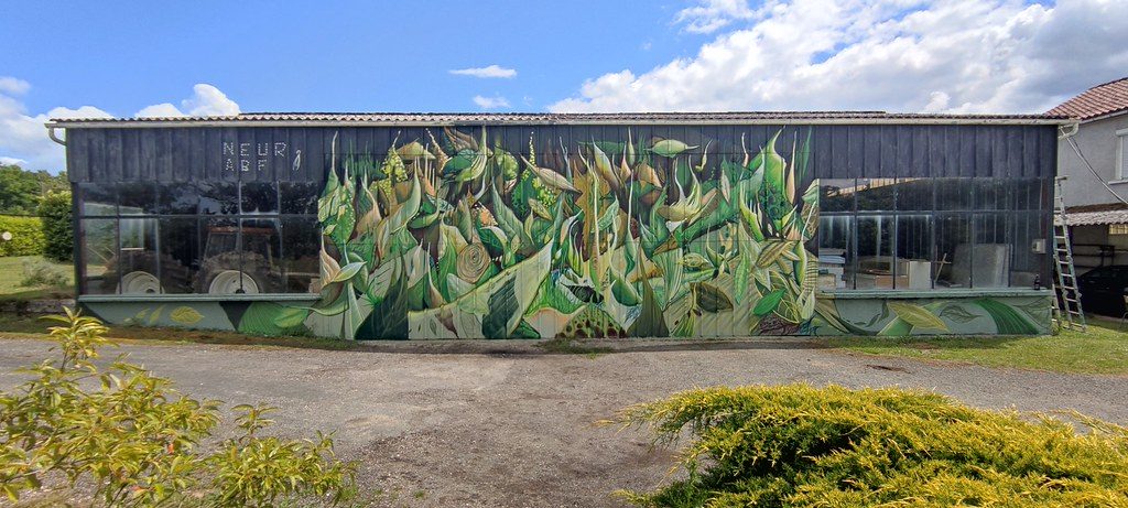 Jungle végétale sur le hangar — Street art à Gout-Rossignol