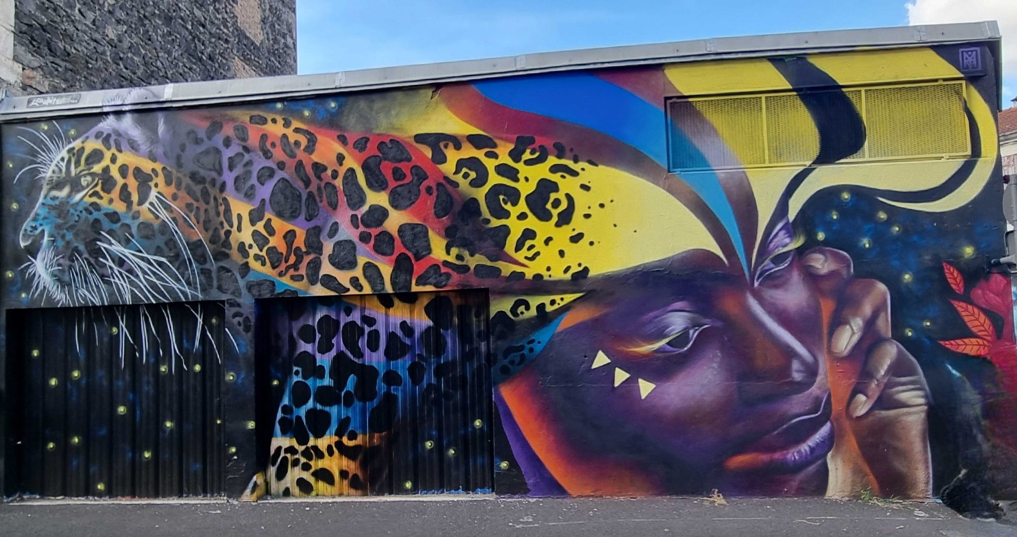 Portrait femme et léopard — Street art à Clermont-Ferrand