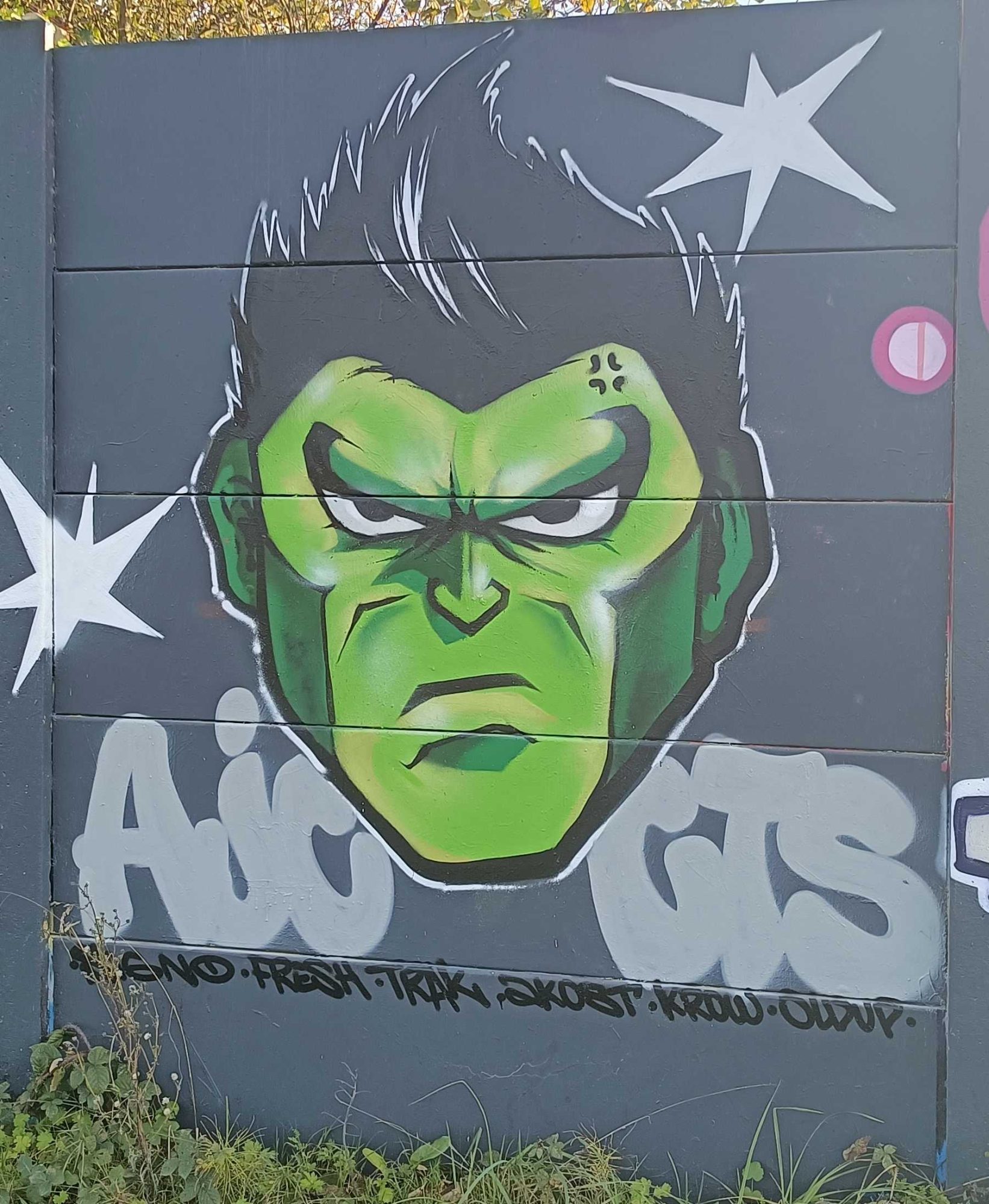 Visage vert colérique — Street art à Rennes