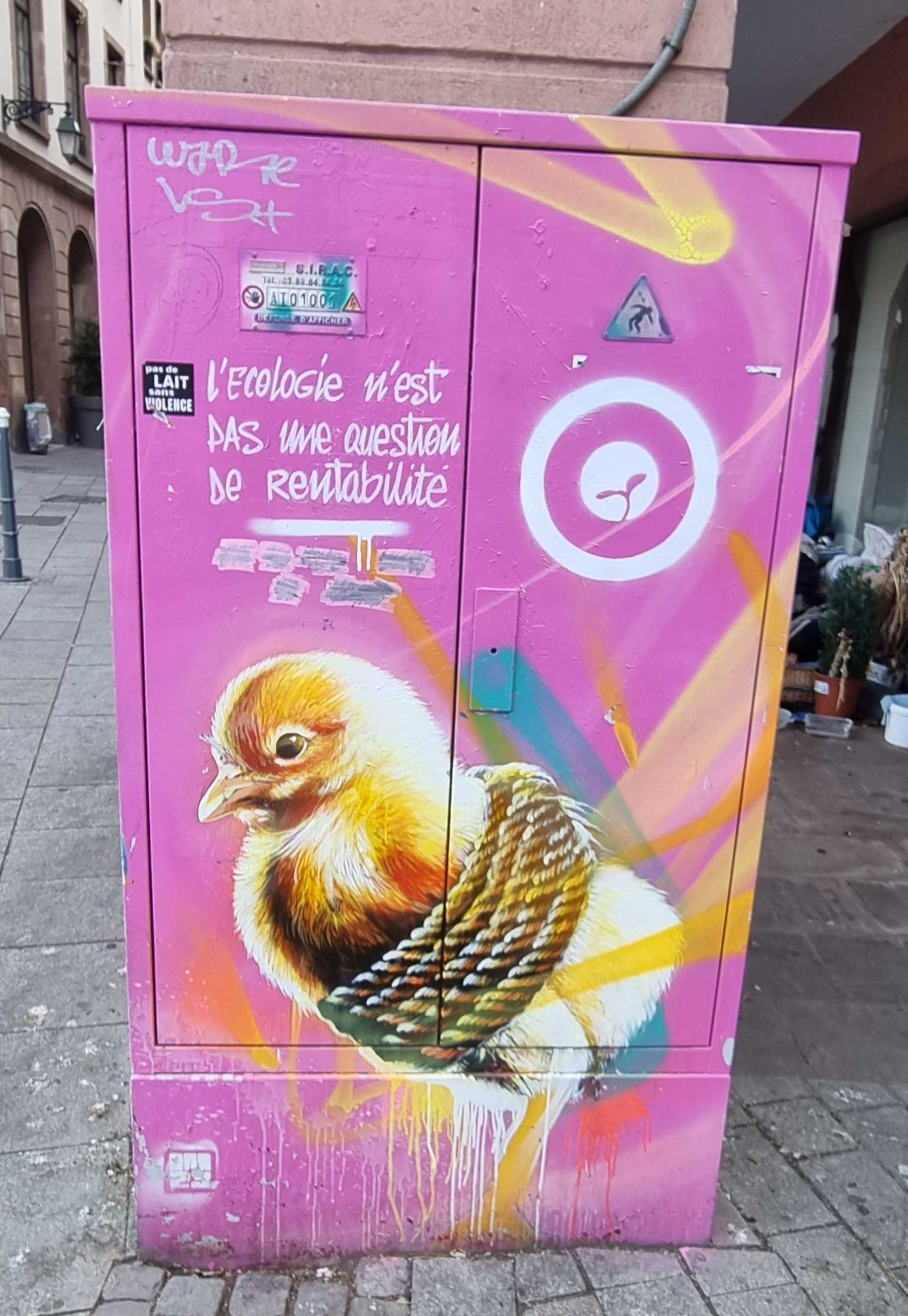 Écologie colorée — Street art de Dan23 à Strasbourg