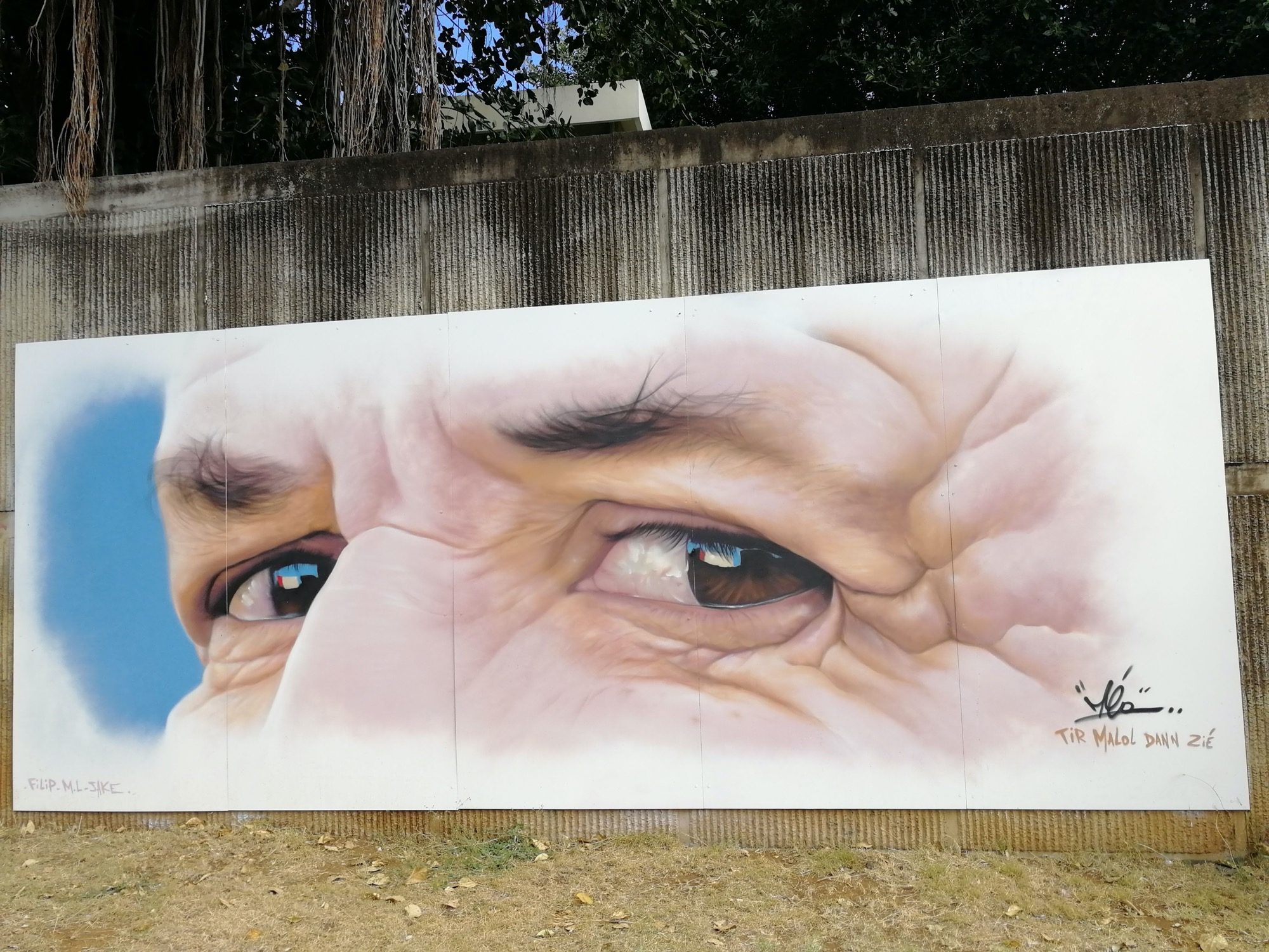 Le regard - portrait hyperréaliste — Street art à Saint-Pierre