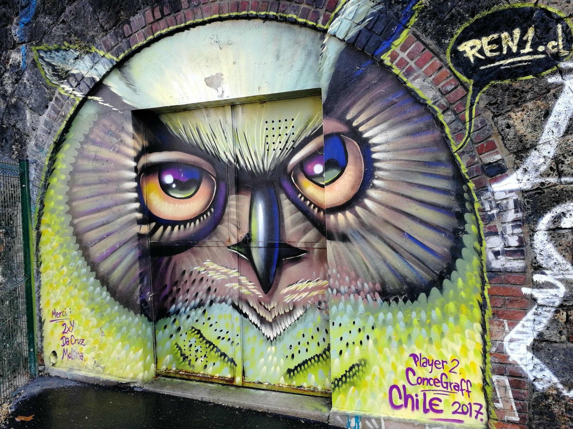 Ren1 Giant Owl — Street art by Ren1 in Paris