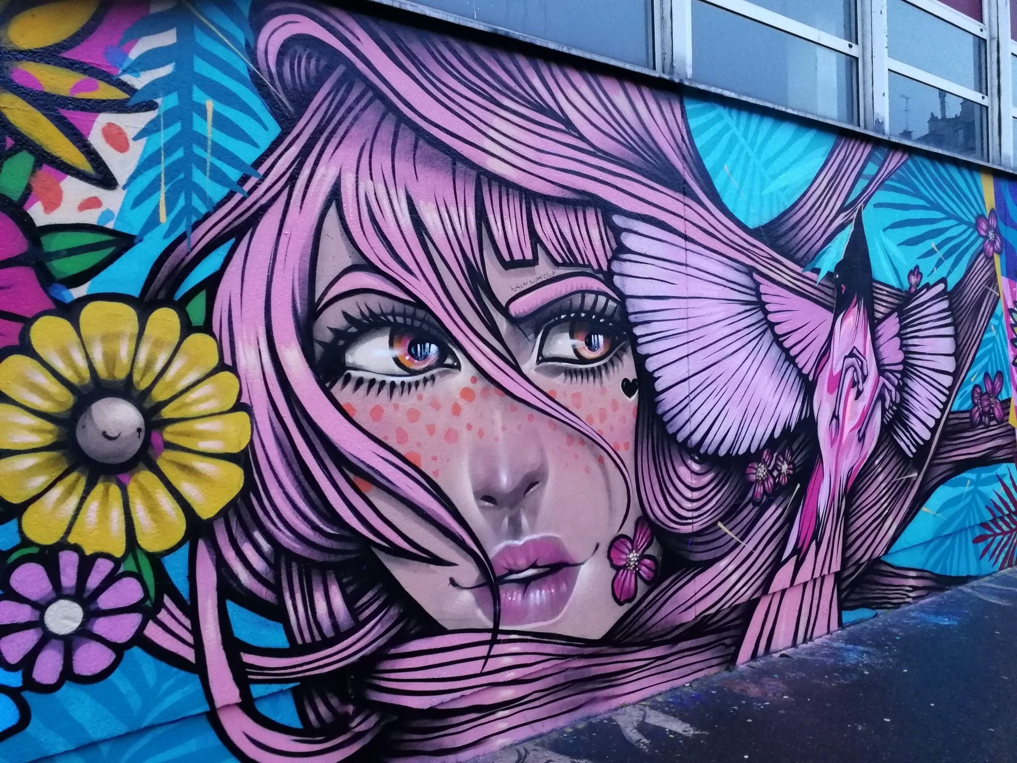Pink-Haired Girl — Street art in Paris